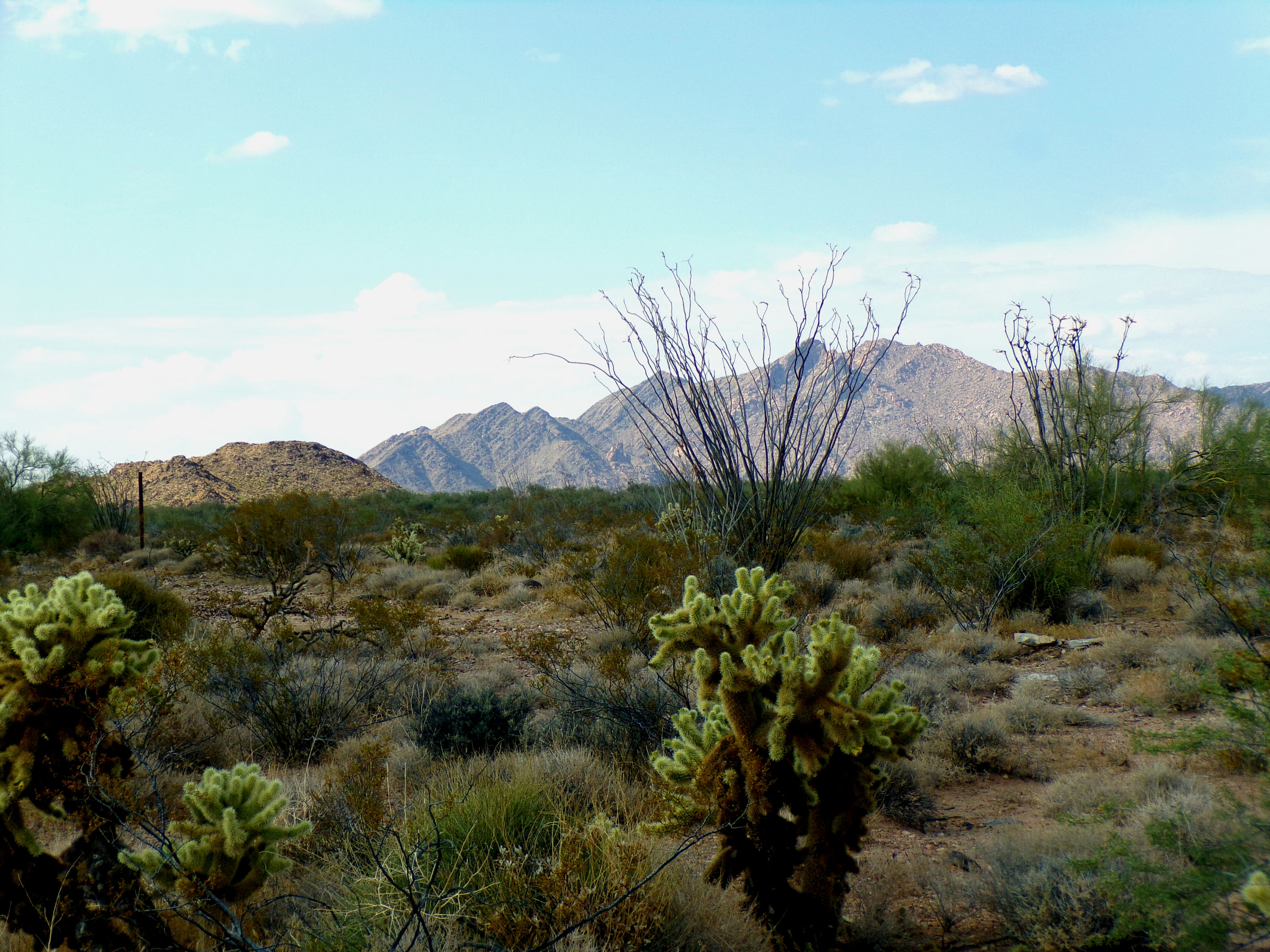 100_1330_DESERT.JPG