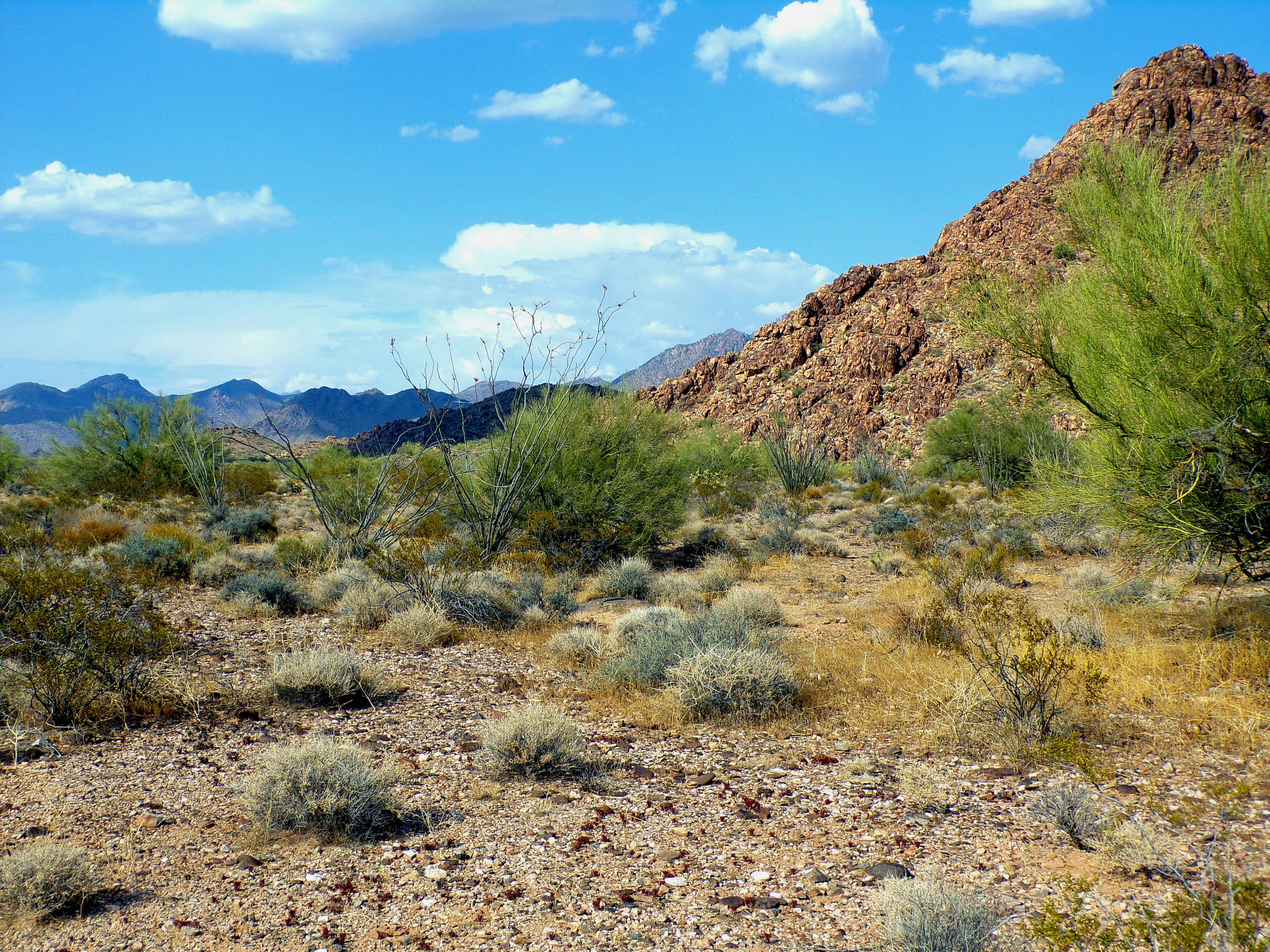 100_1345_DESERT.JPG