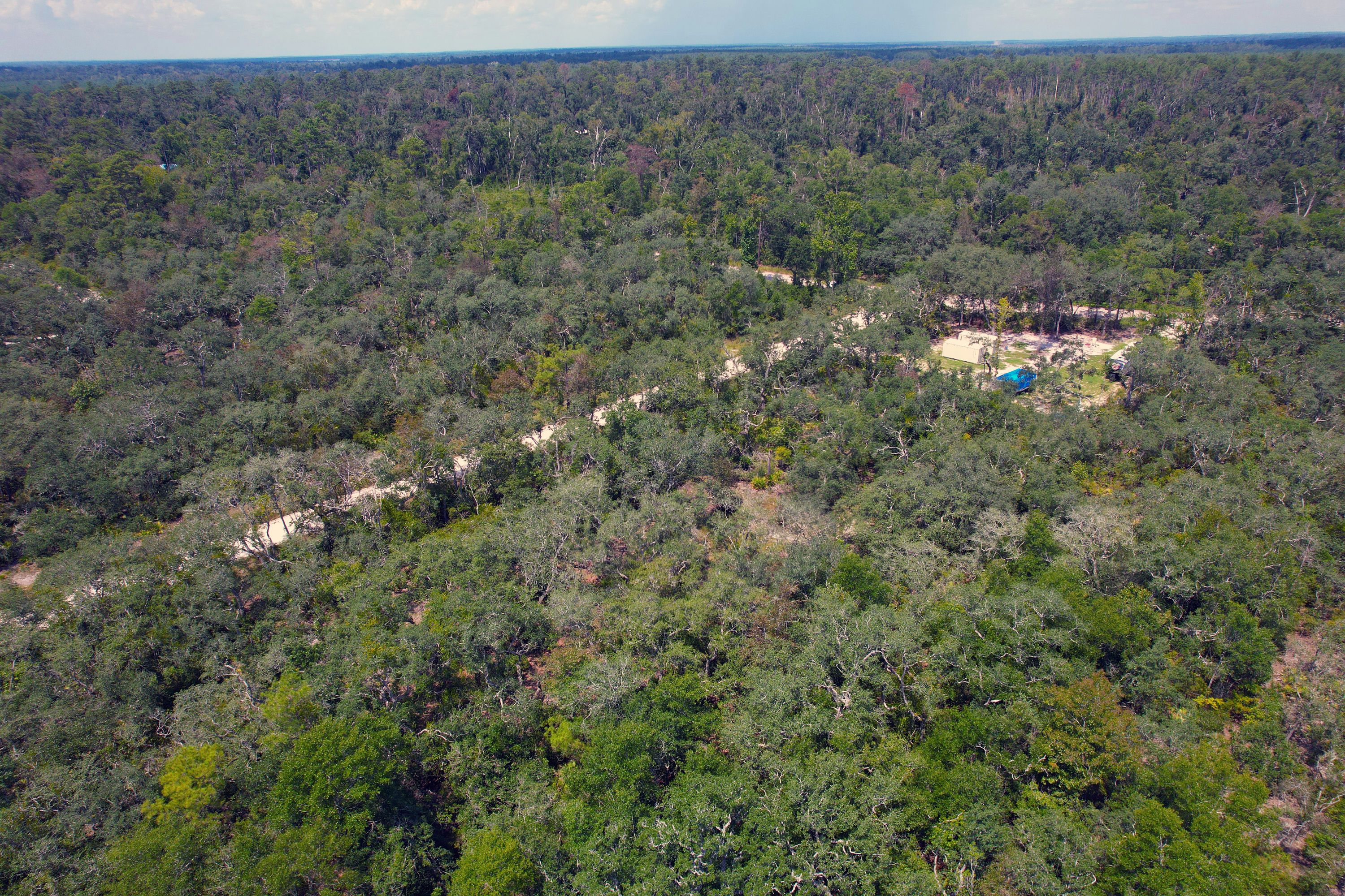 DJI_0598.jpg