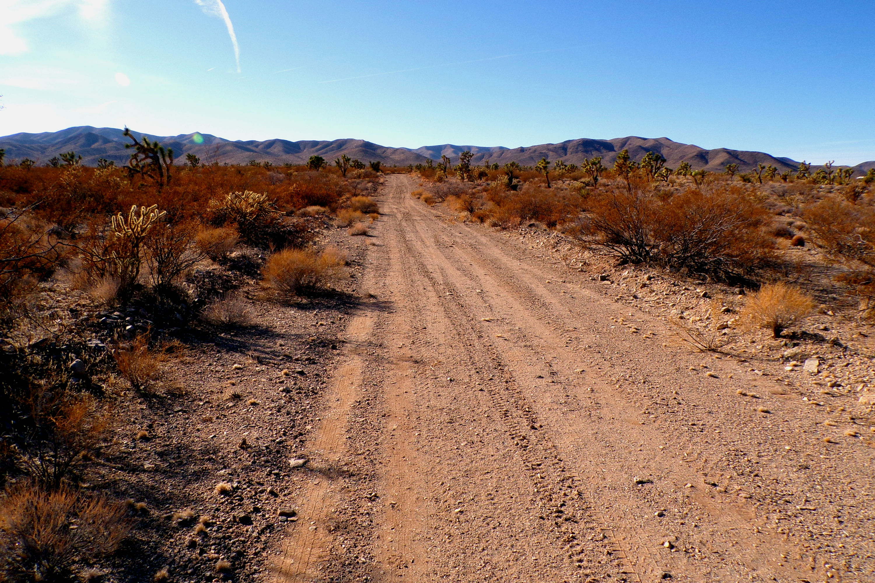 100_0862_DESERT.JPG