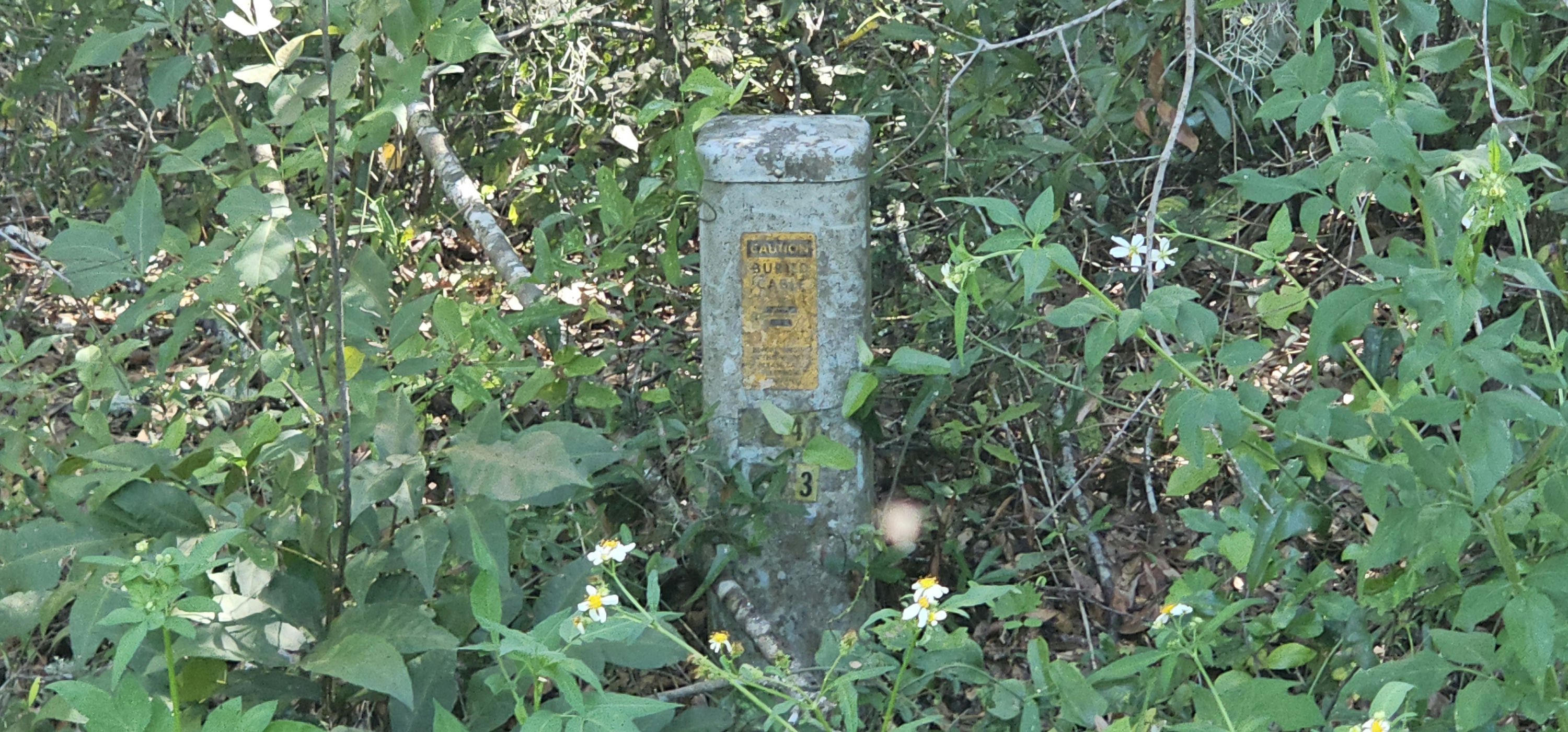 20250828_153908.jpg
