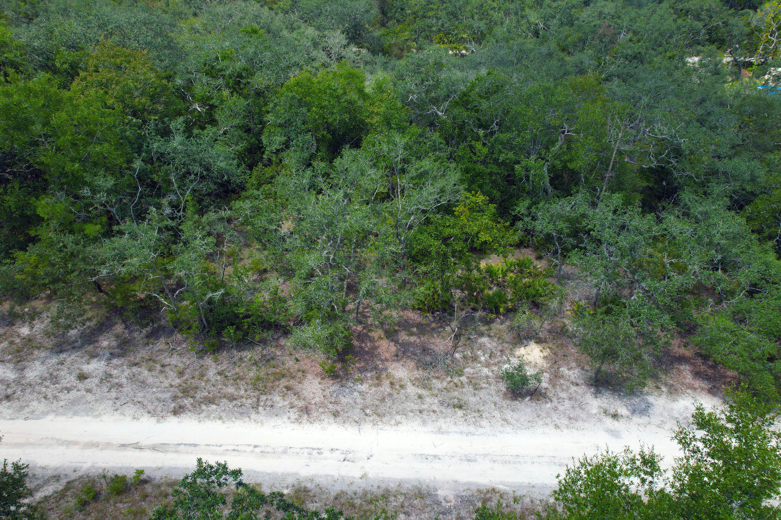 DJI_0545.jpg