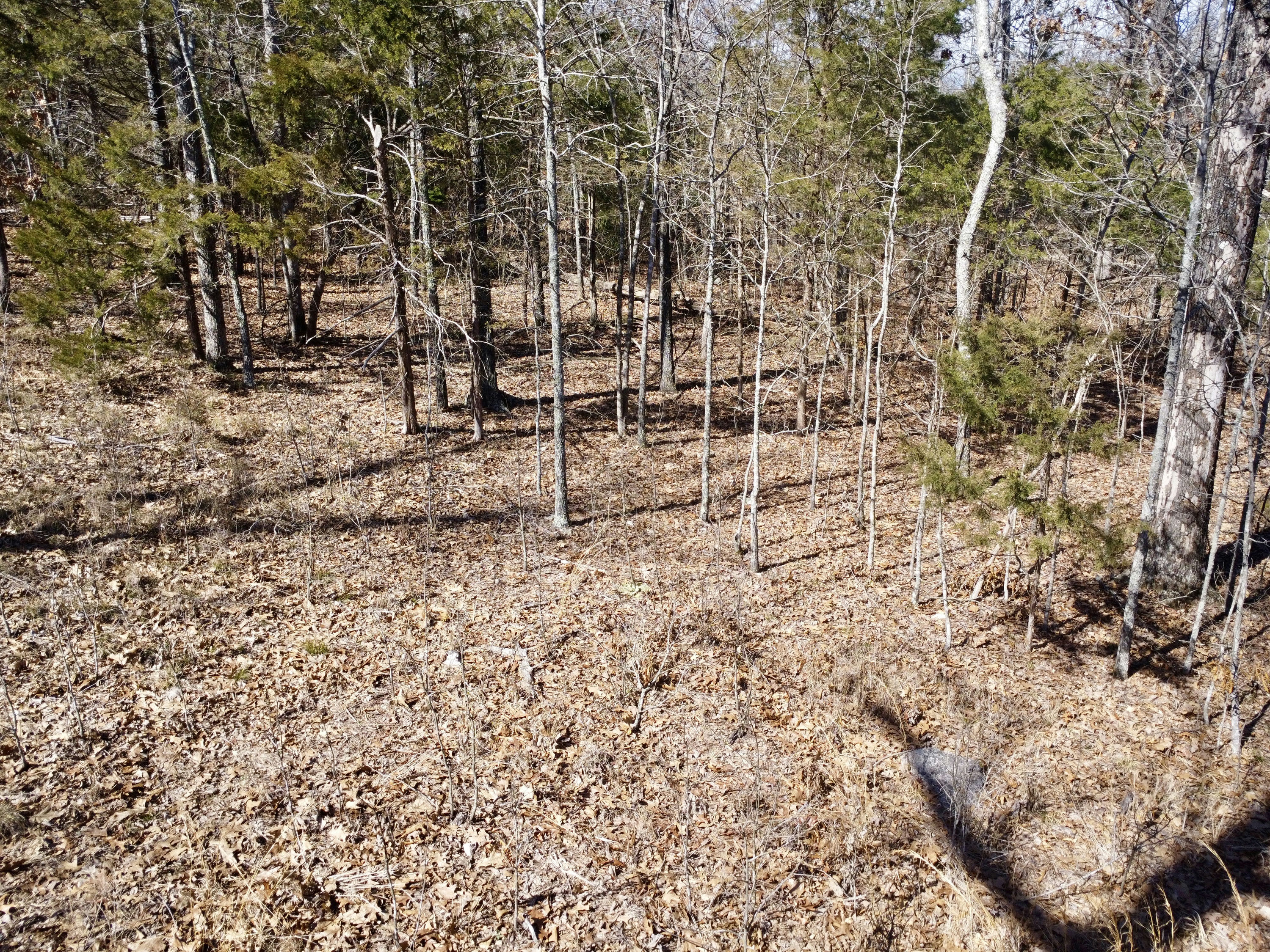 Copy of DJI_0155.JPG