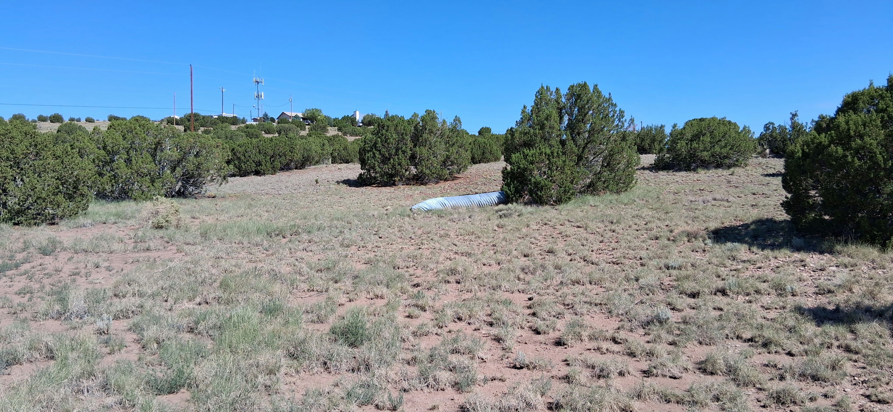 201-27-337-338 Vegetation.jpg