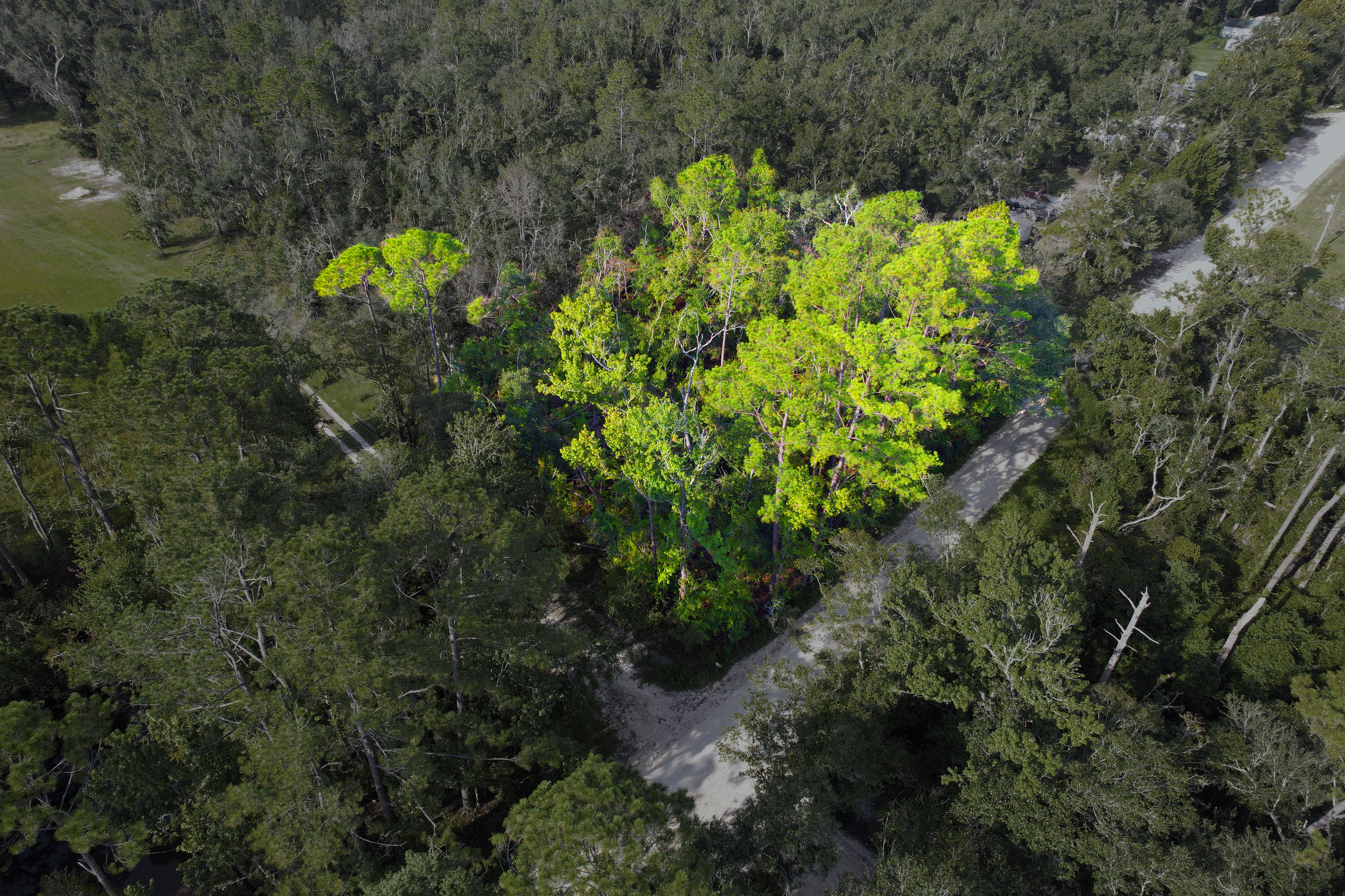 DJI_0215 washout dark.jpg