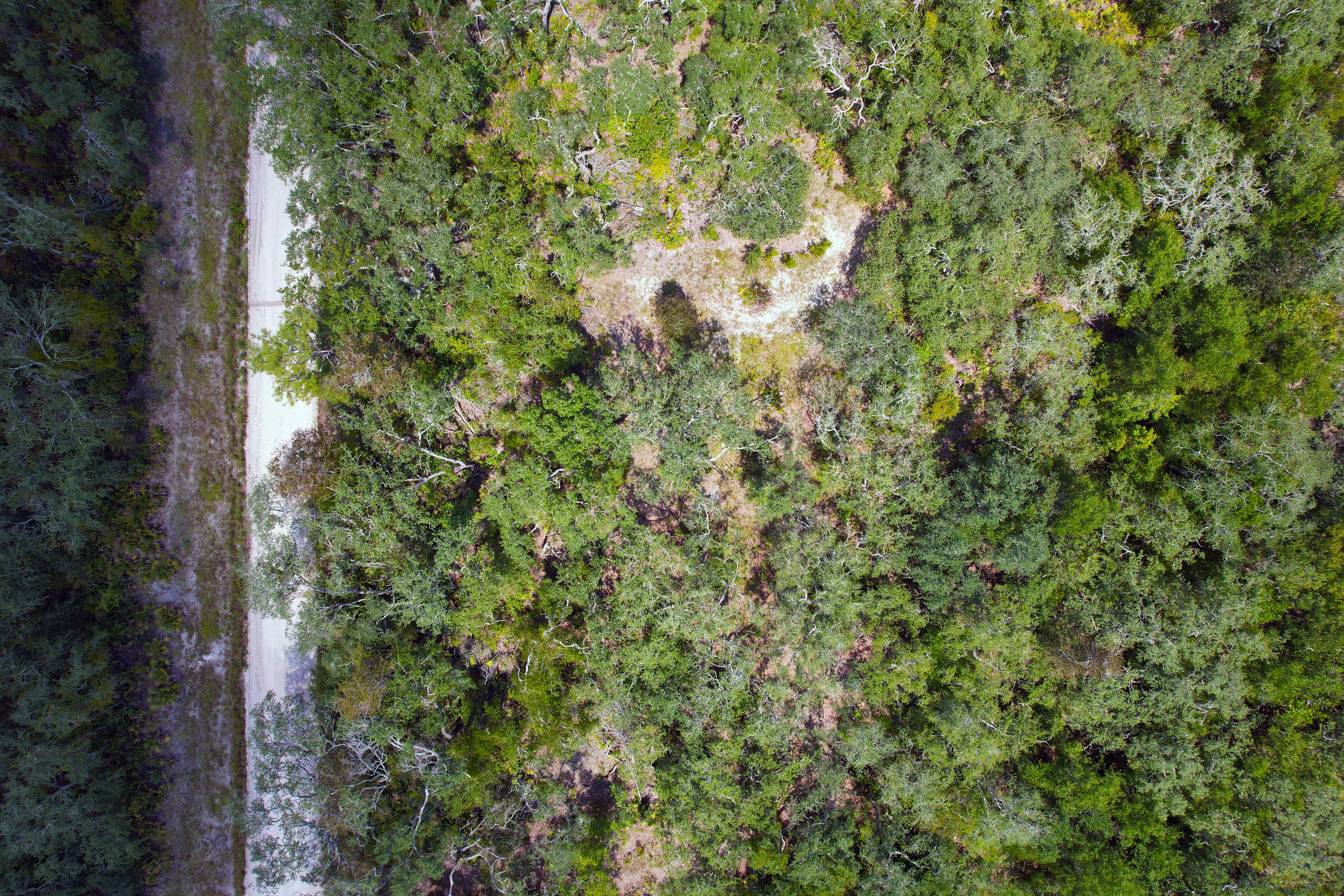 DJI_0616.jpg