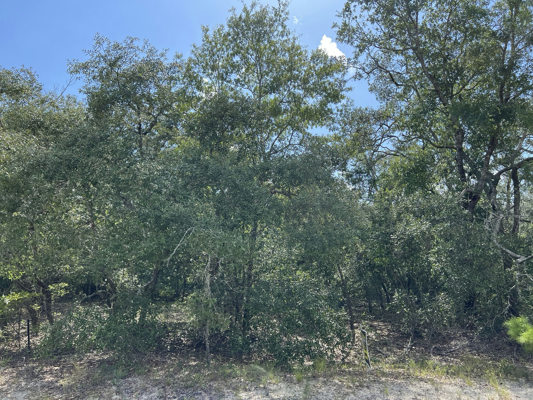 IMG_5770.JPEG