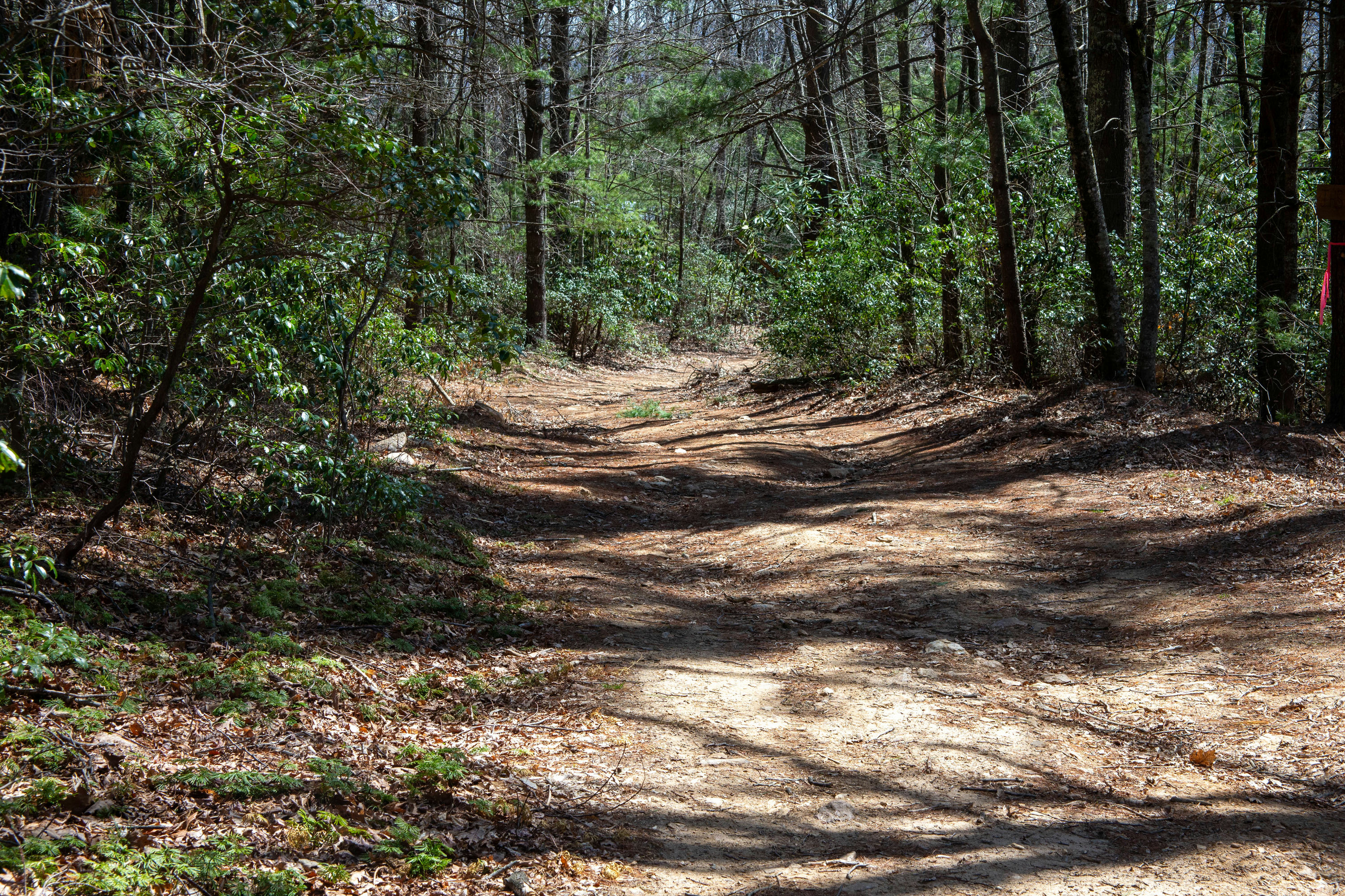 Copy of EndlessWay-29.jpg