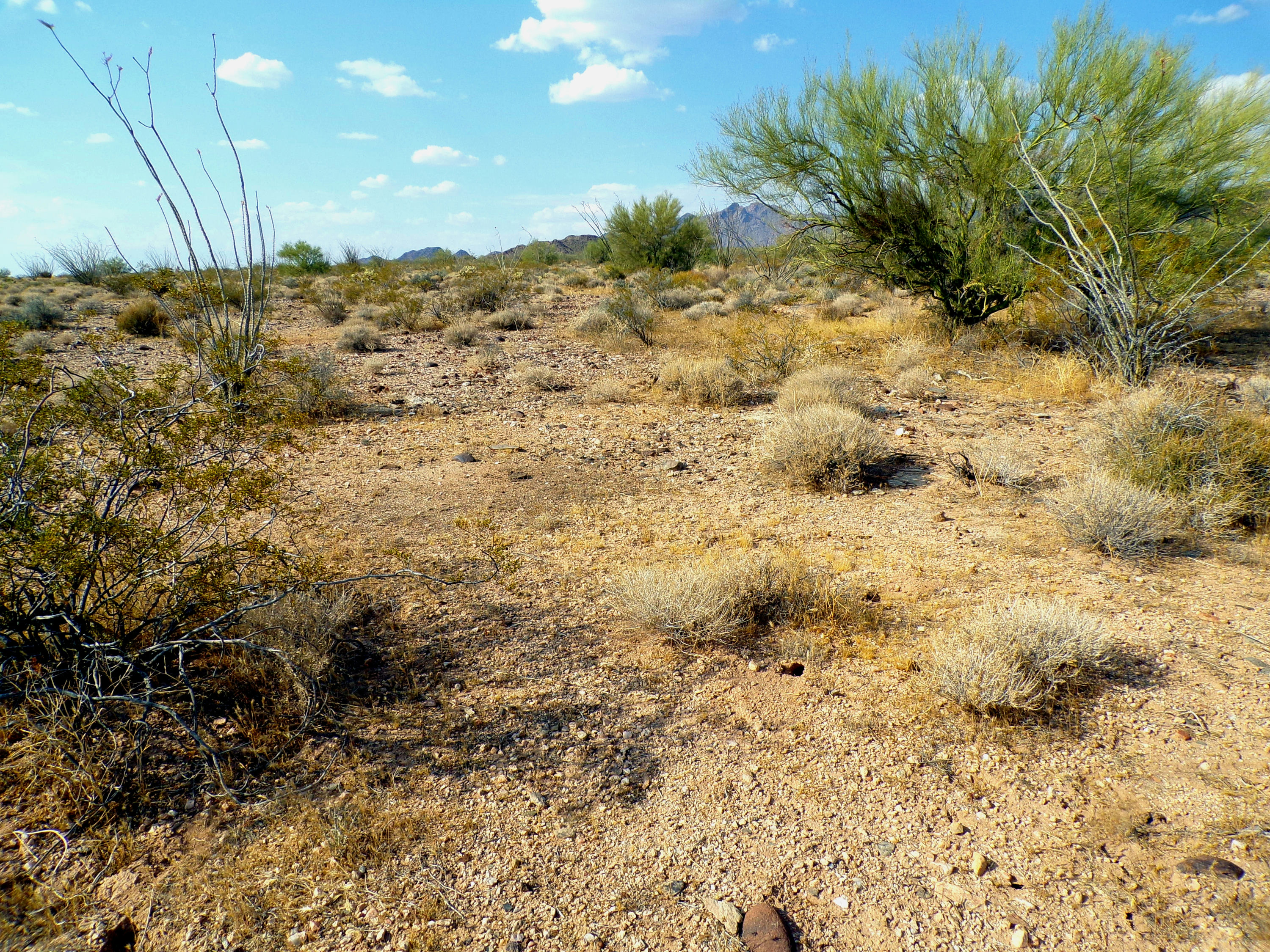 100_1351_DESERT.JPG