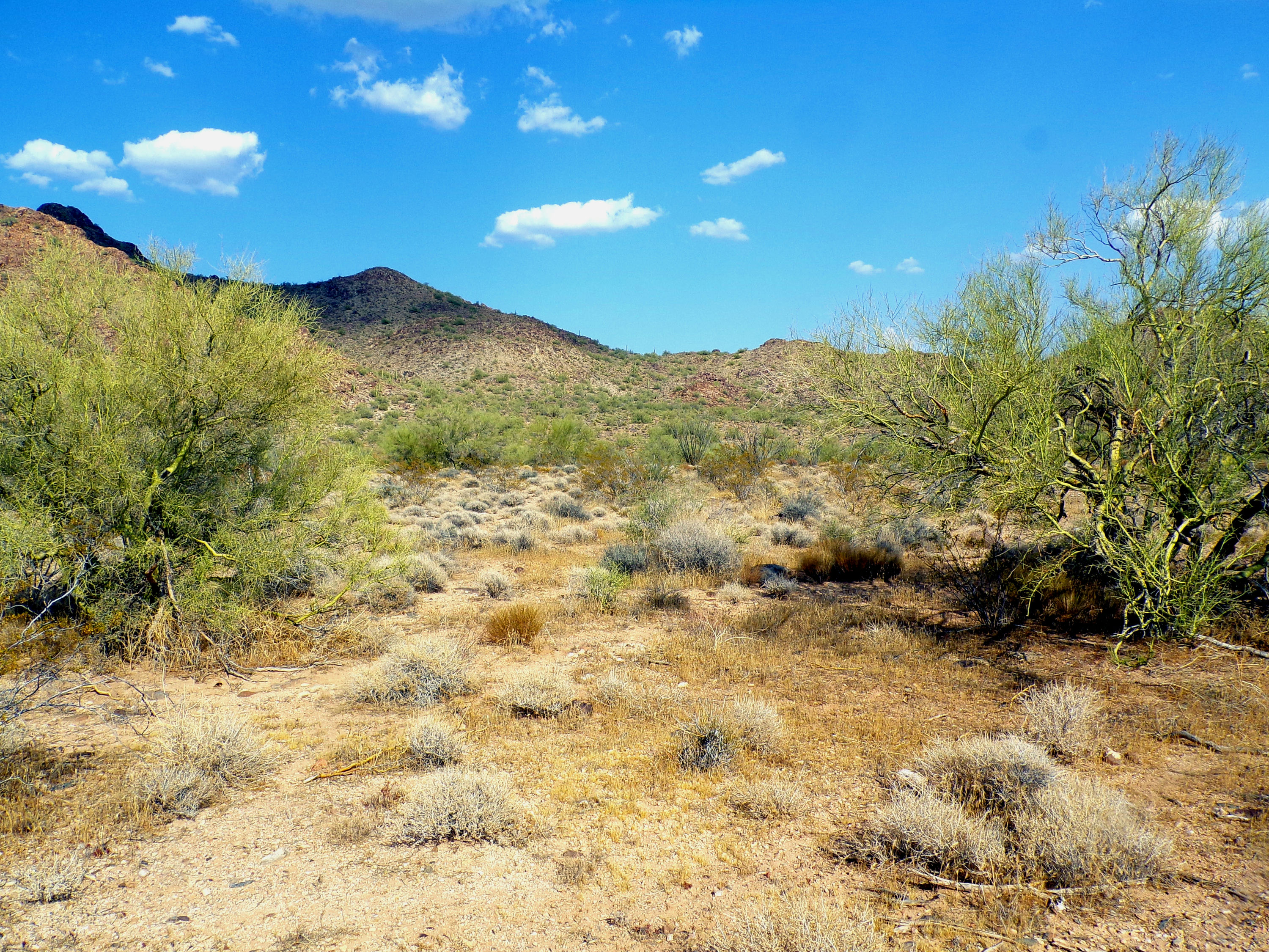 100_1348_DESERT.JPG