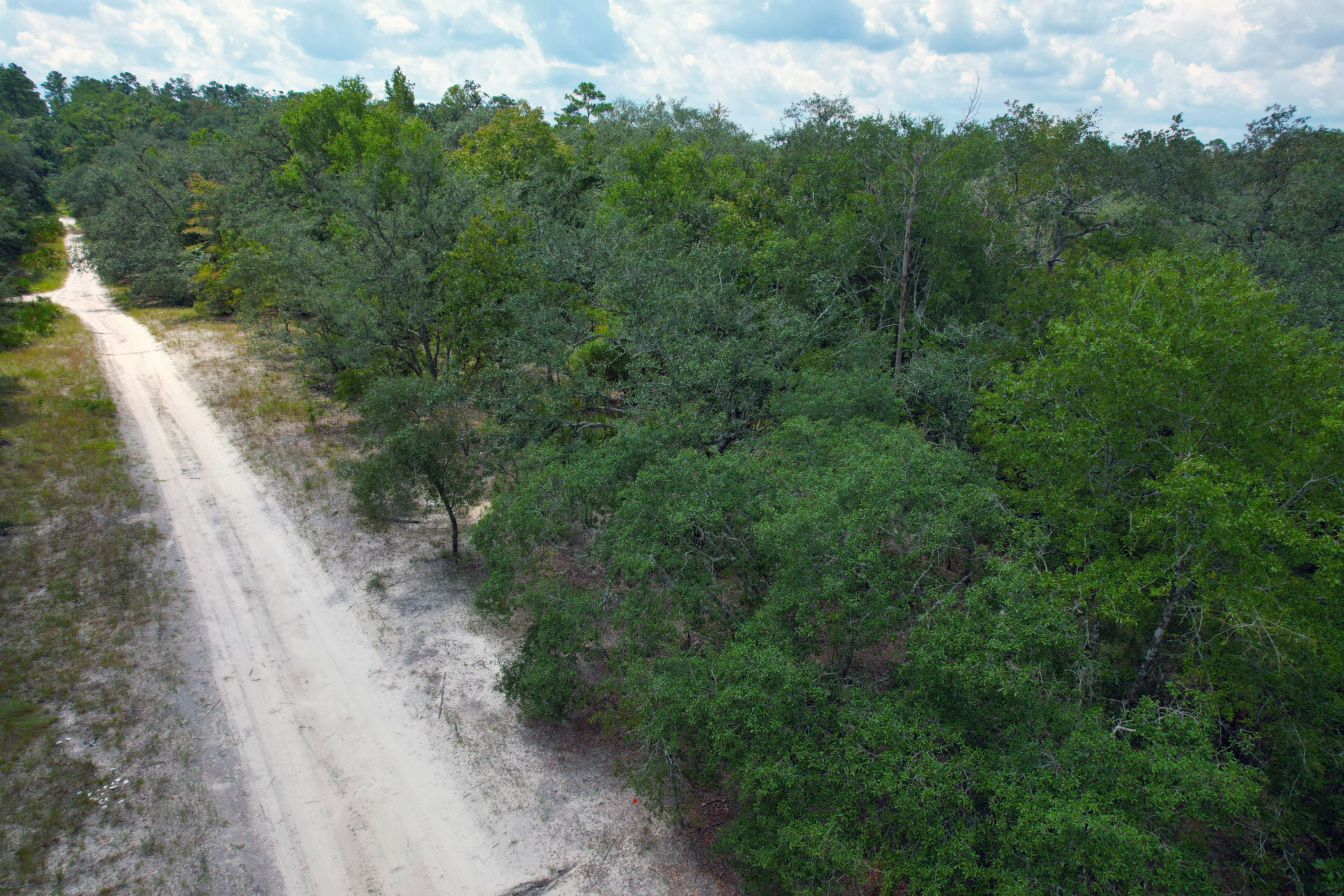 DJI_0543.jpg