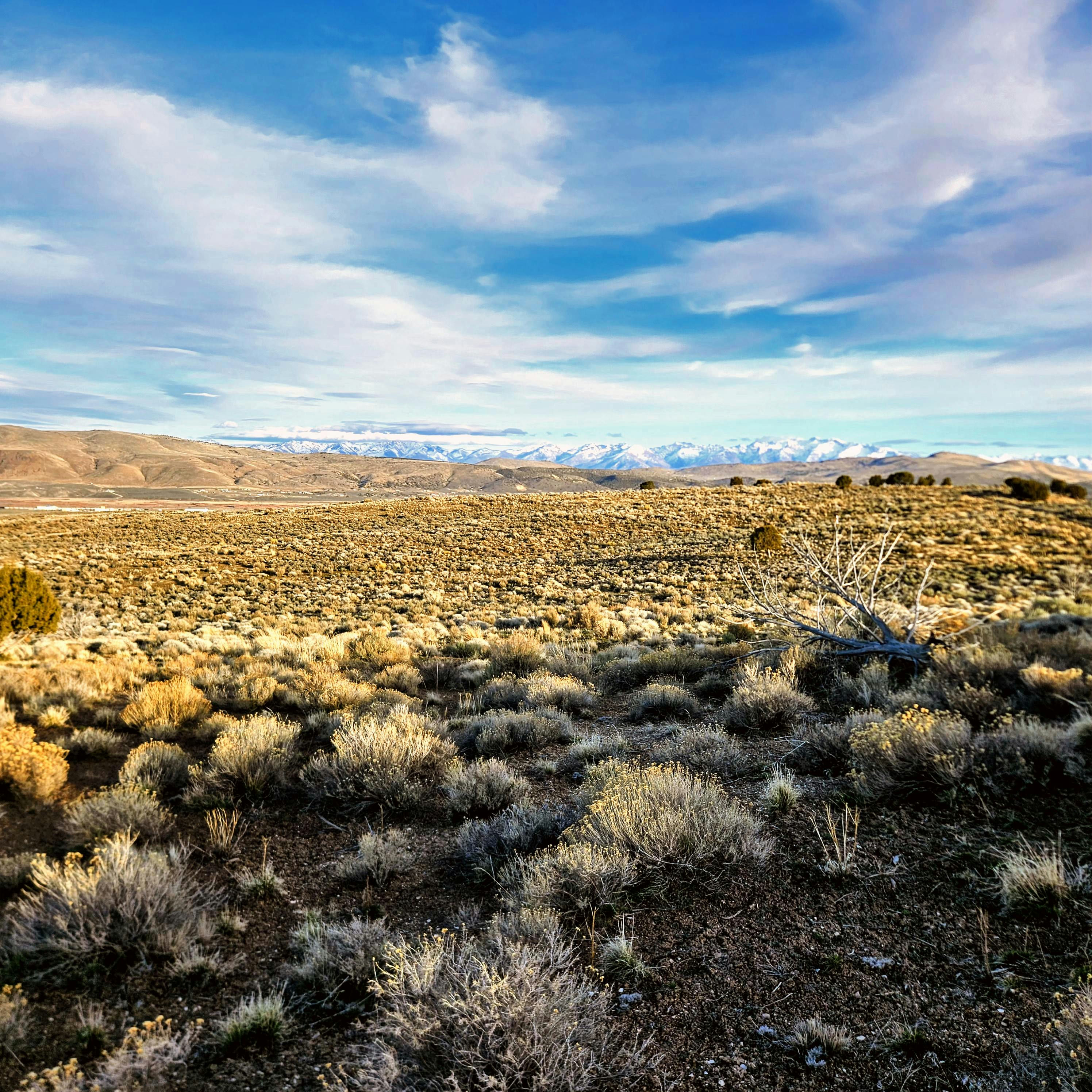 20260311_174154~3.jpg
