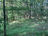 carousel-thumb-4