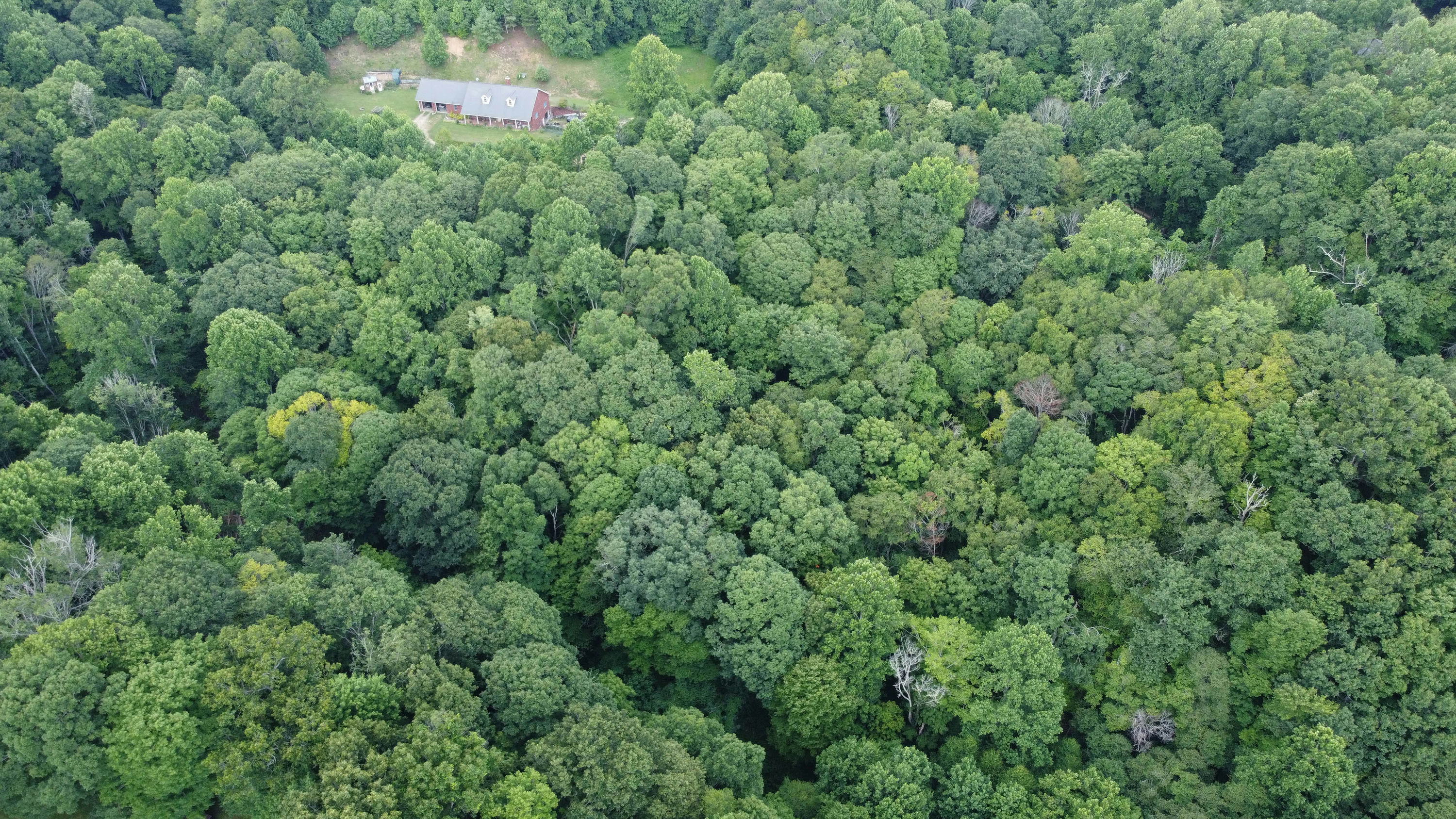 250807_KlinkTrail_Drone_10.jpg