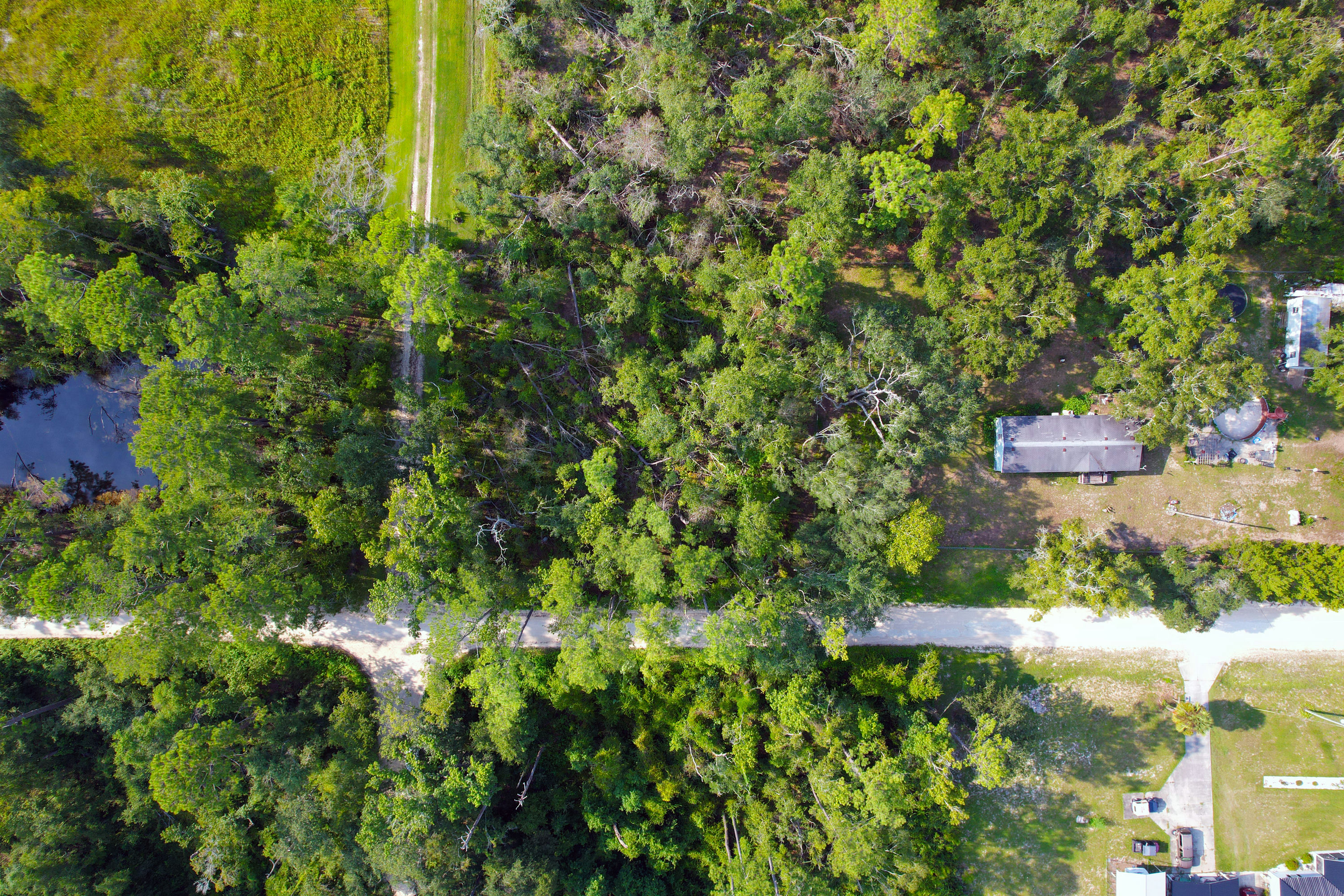 DJI_0229.jpg