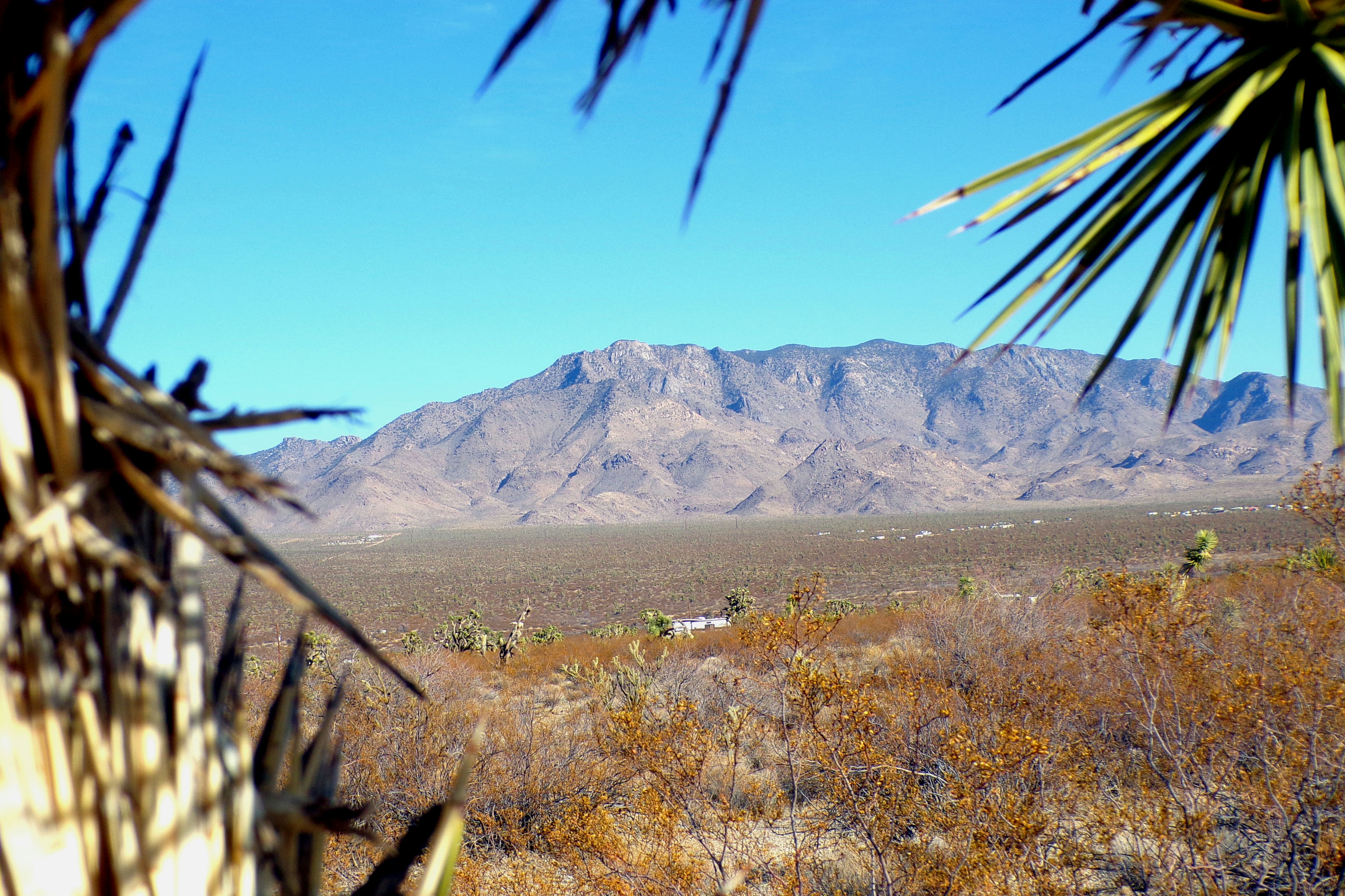100_0876_DESERT.JPG