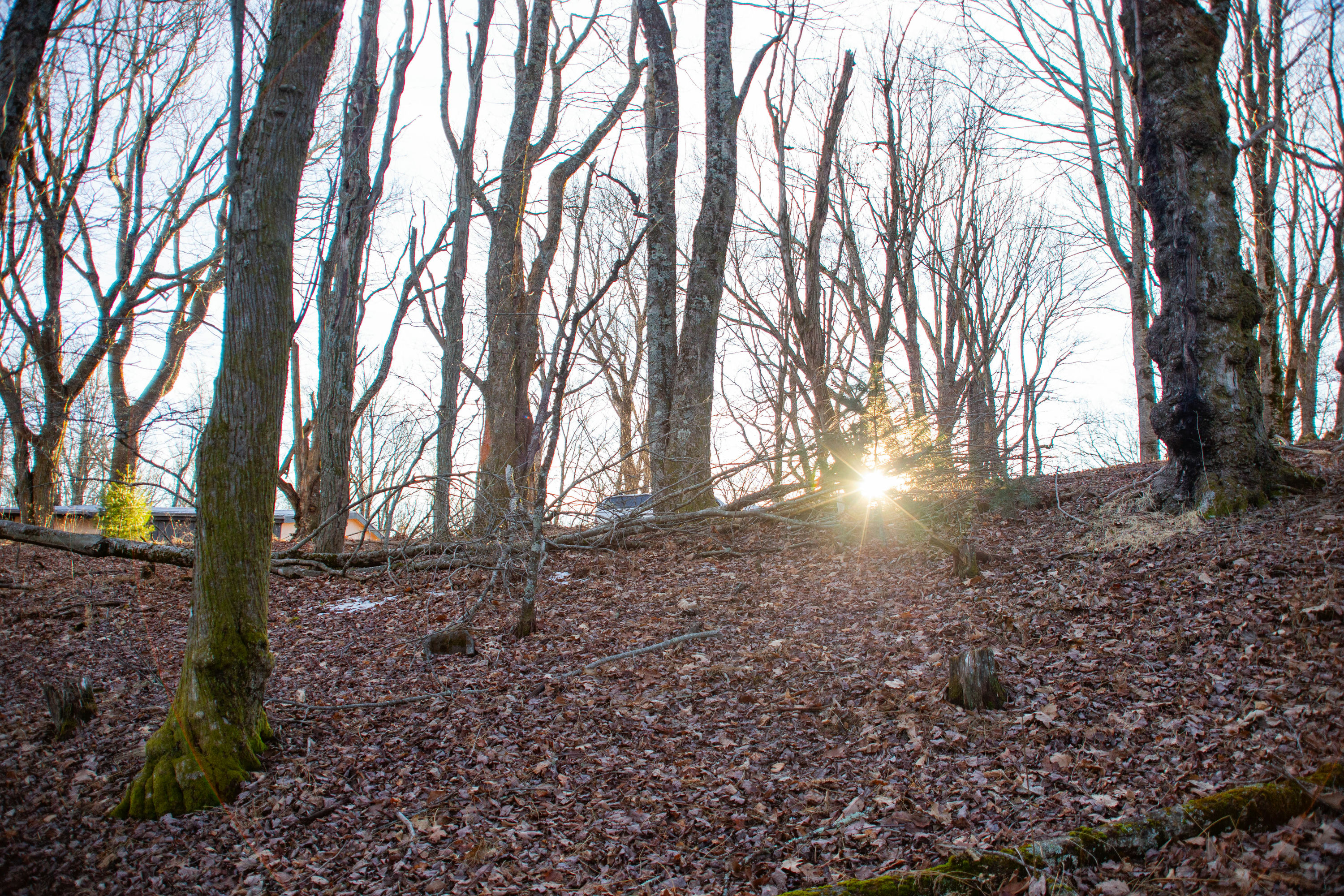 Copy of MountainSong-GroundPhotos-4.jpg
