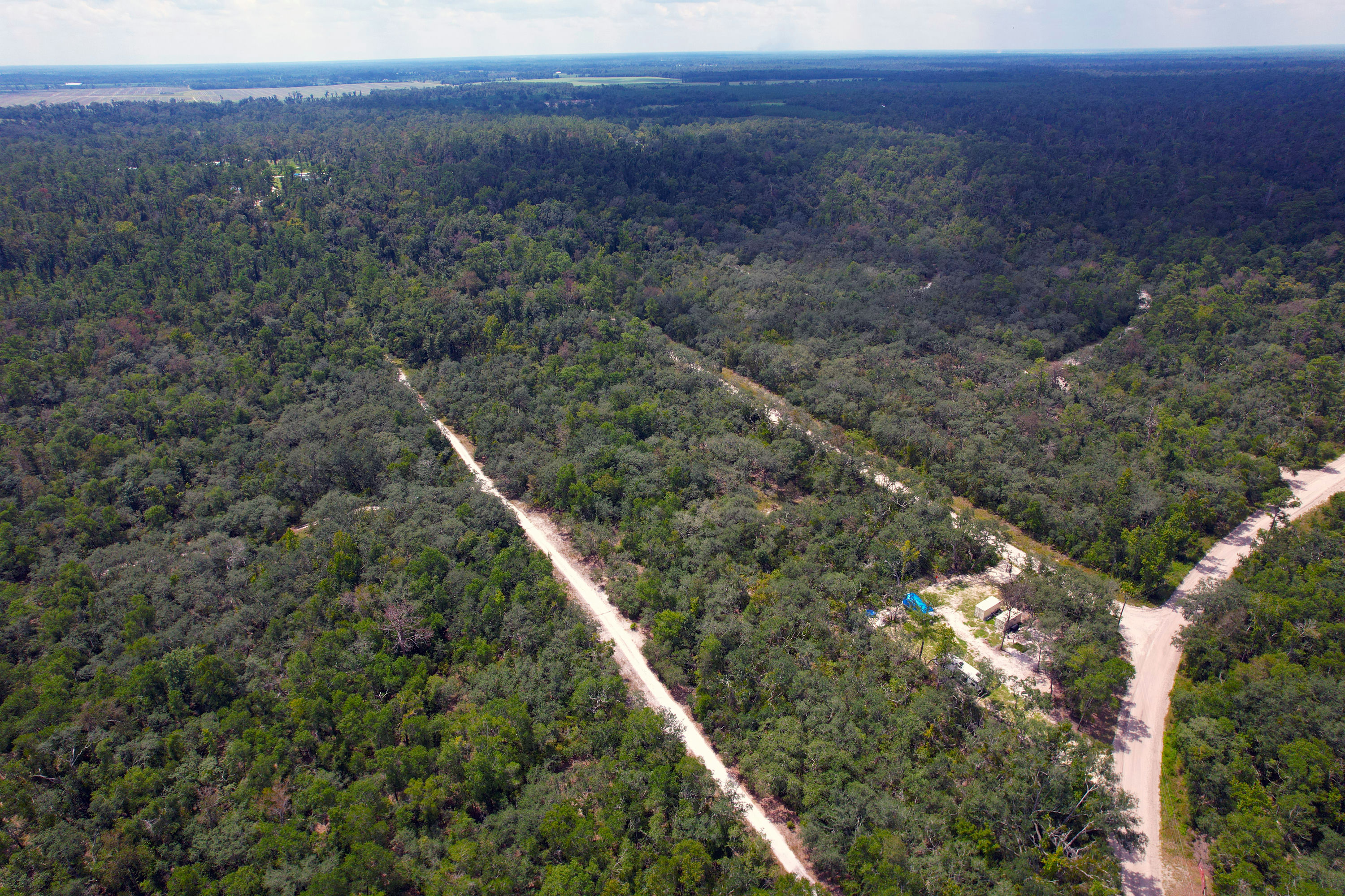 DJI_0563.jpg