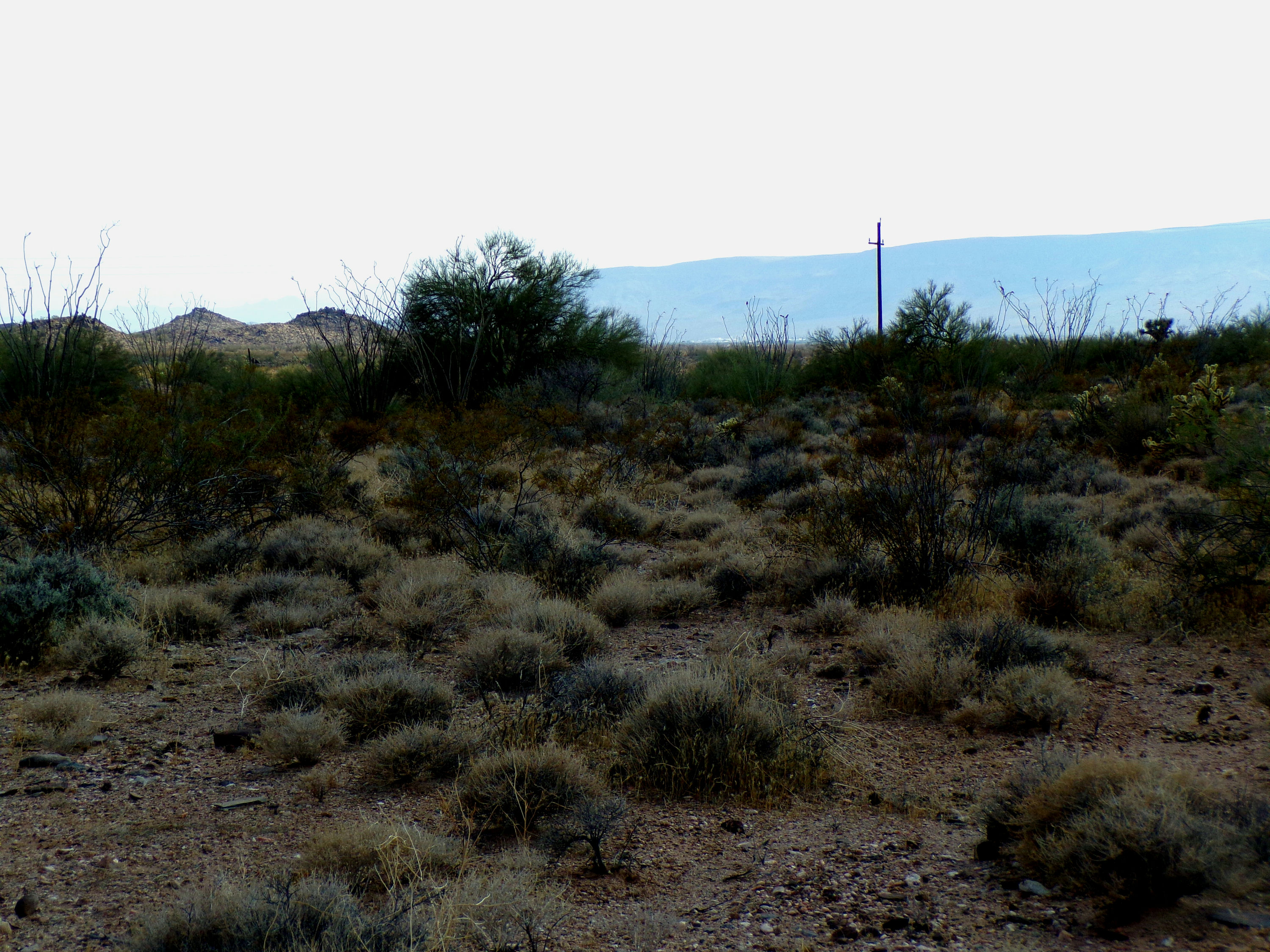 100_1327_DESERT.JPG