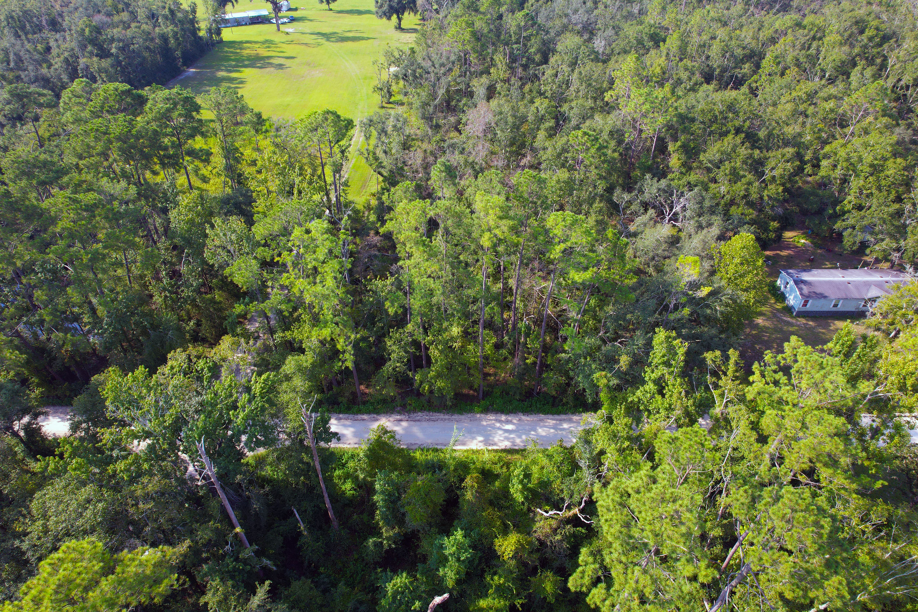 DJI_0216.jpg