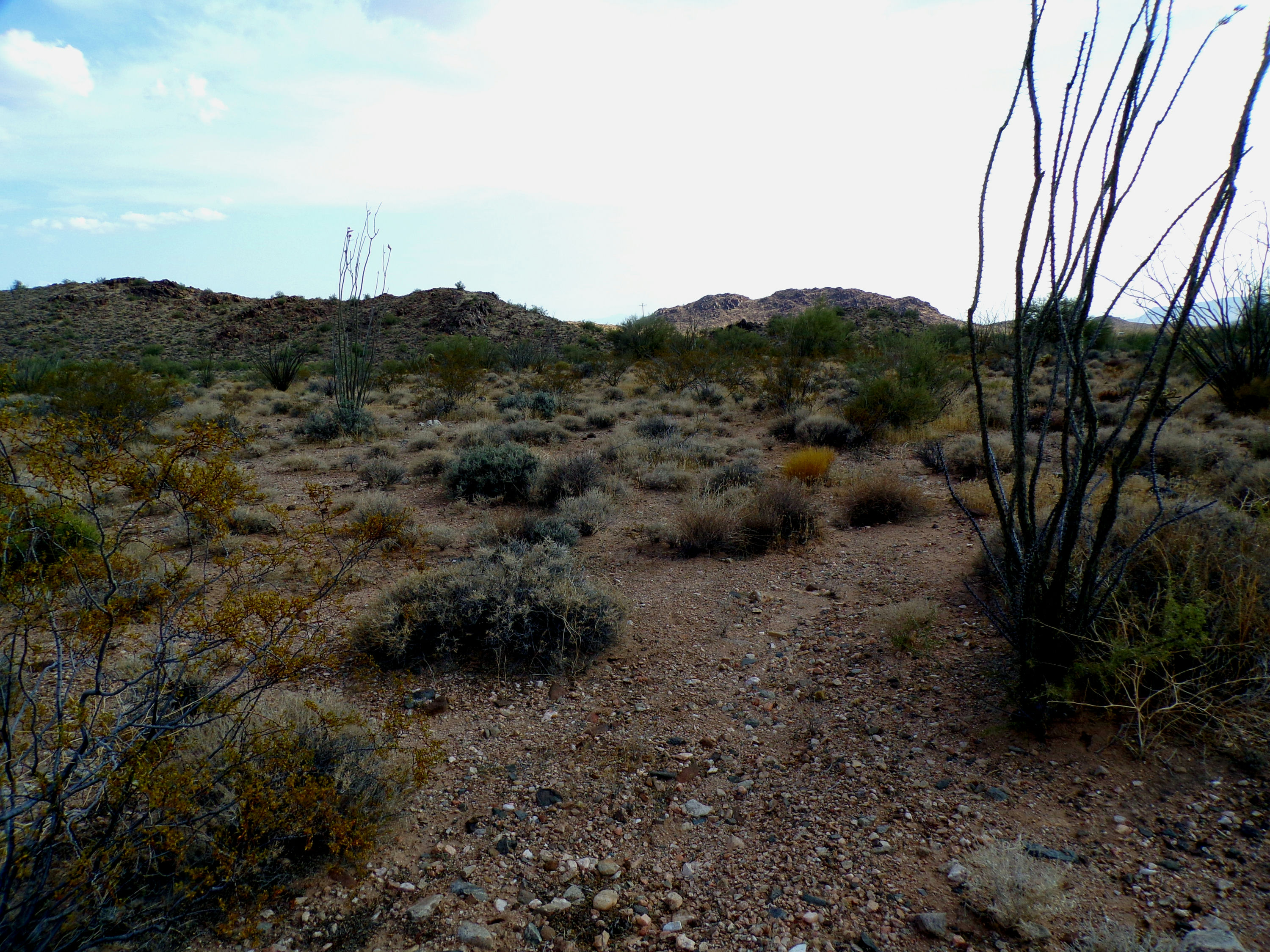 100_1334_DESERT.JPG