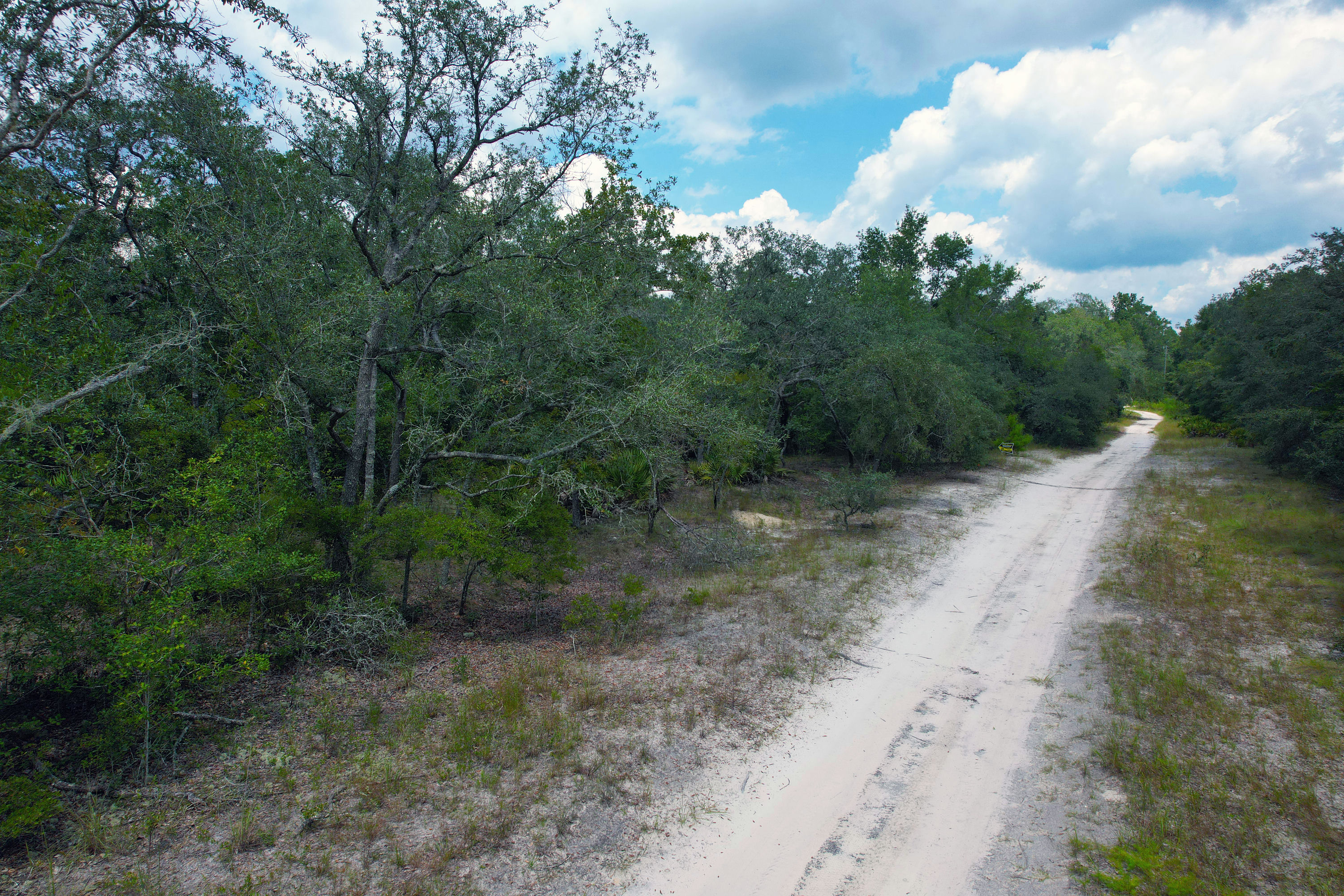 DJI_0541.jpg