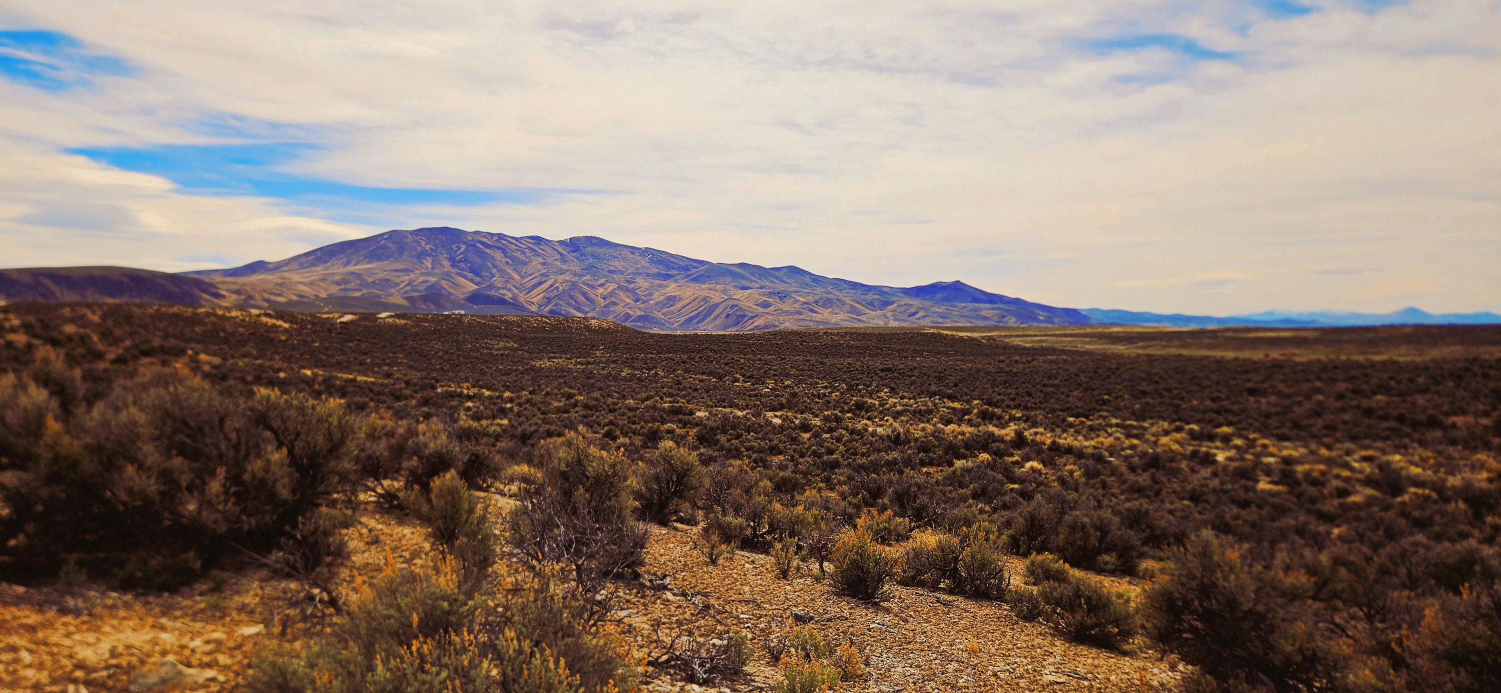 20260313_125947~2.jpg
