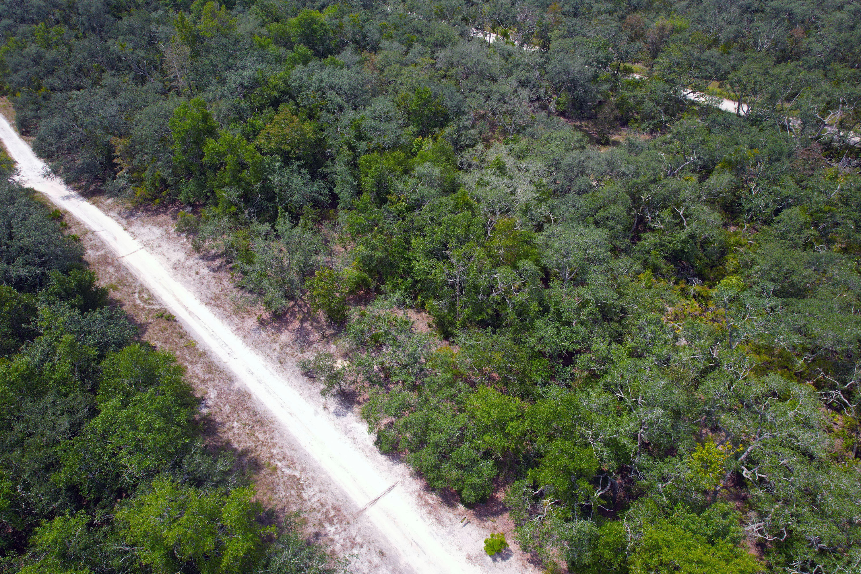 DJI_0550.jpg