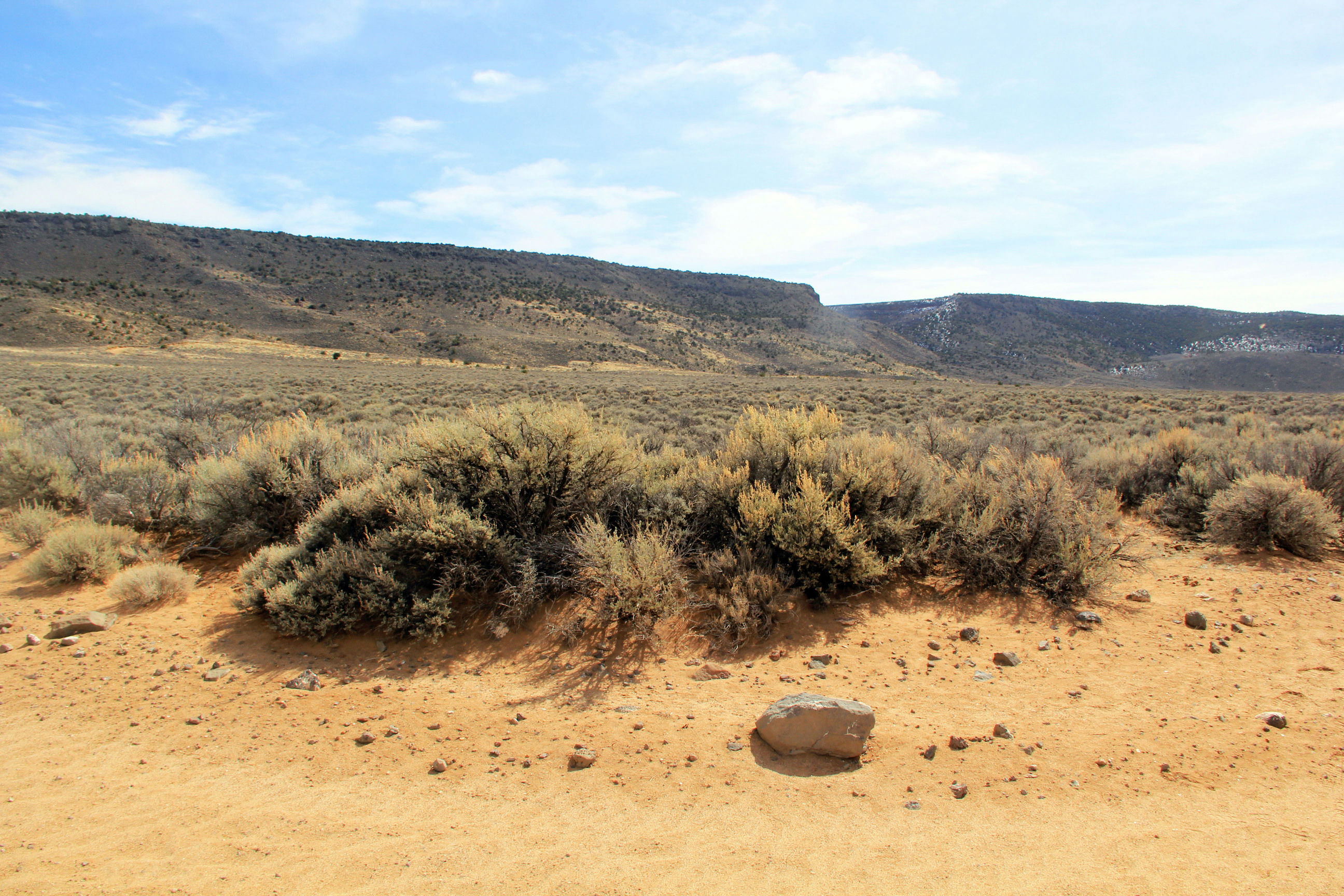 Lot from Road-2592x1728.JPG
