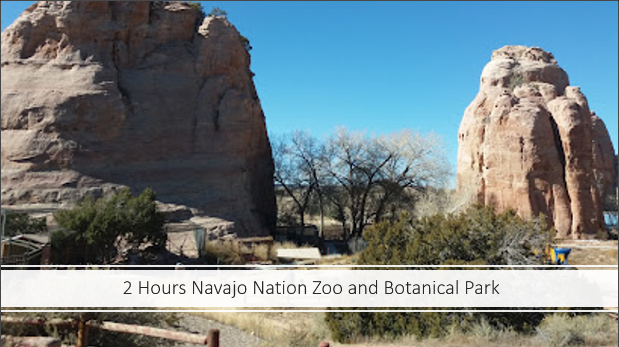 32. Navajo Nation Zoo.png