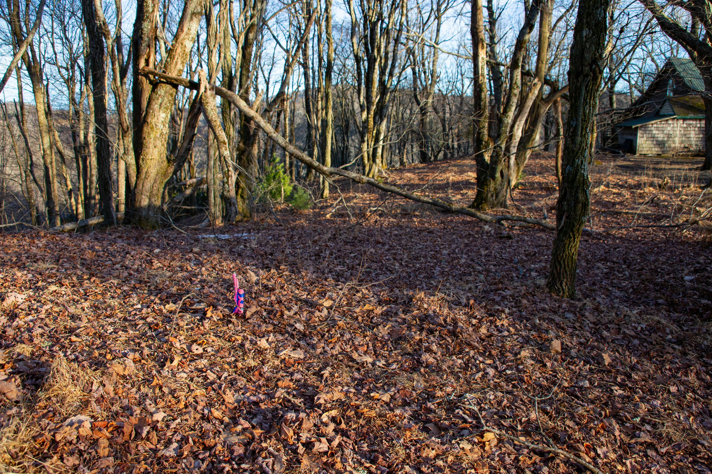 Copy of MountainSong-GroundPhotos-3.jpg