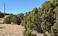 carousel-thumb-12