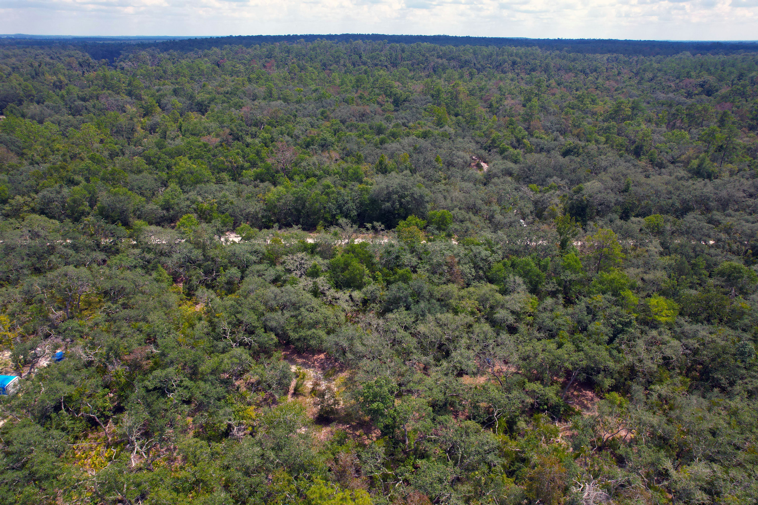 DJI_0555.jpg