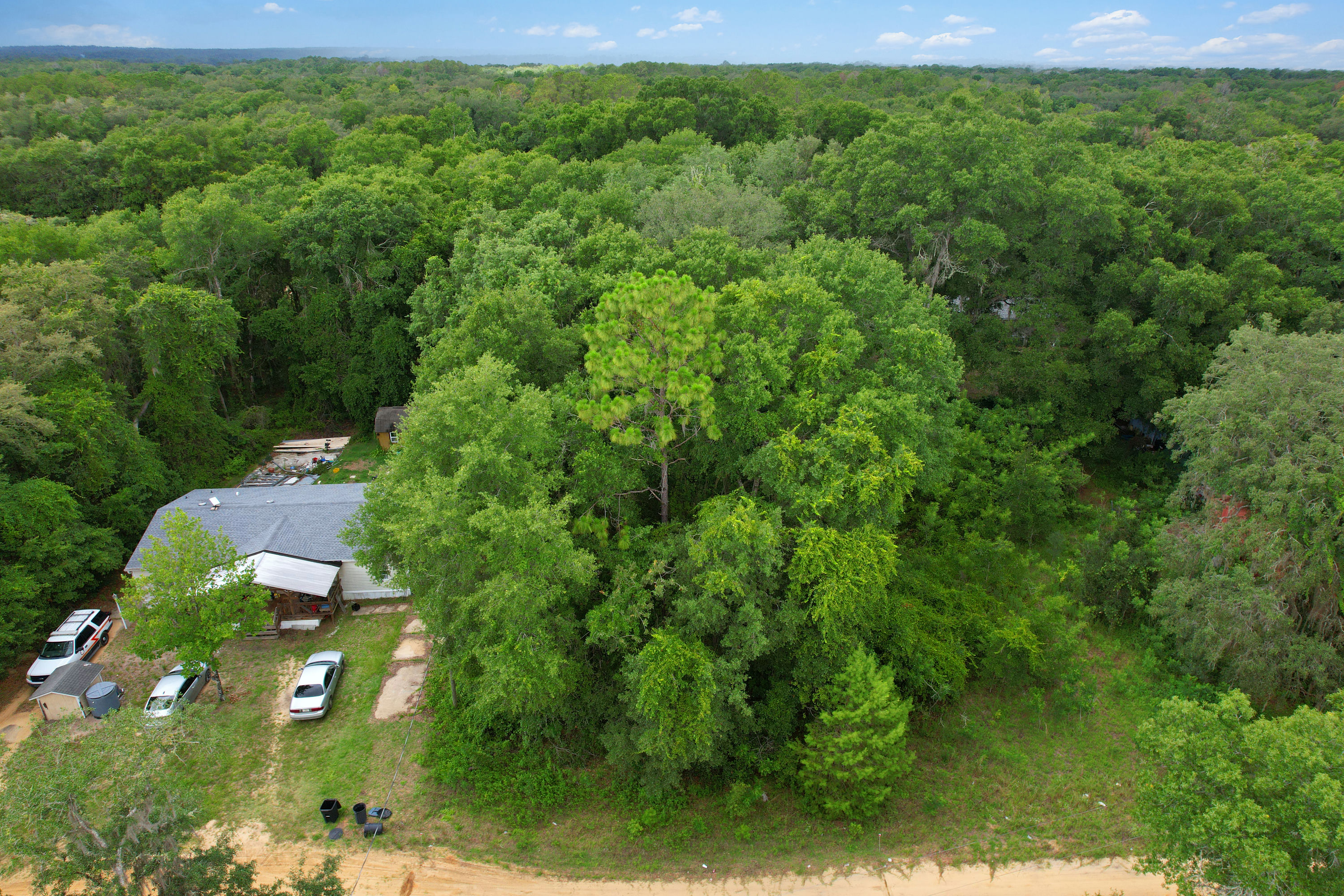 DJI_0749 (1).jpg