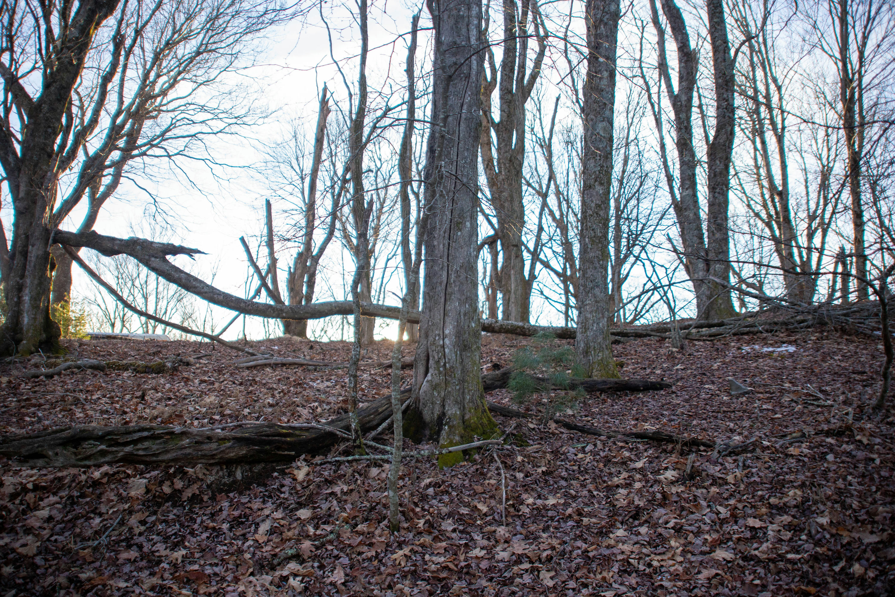Copy of MountainSong-GroundPhotos-11.jpg