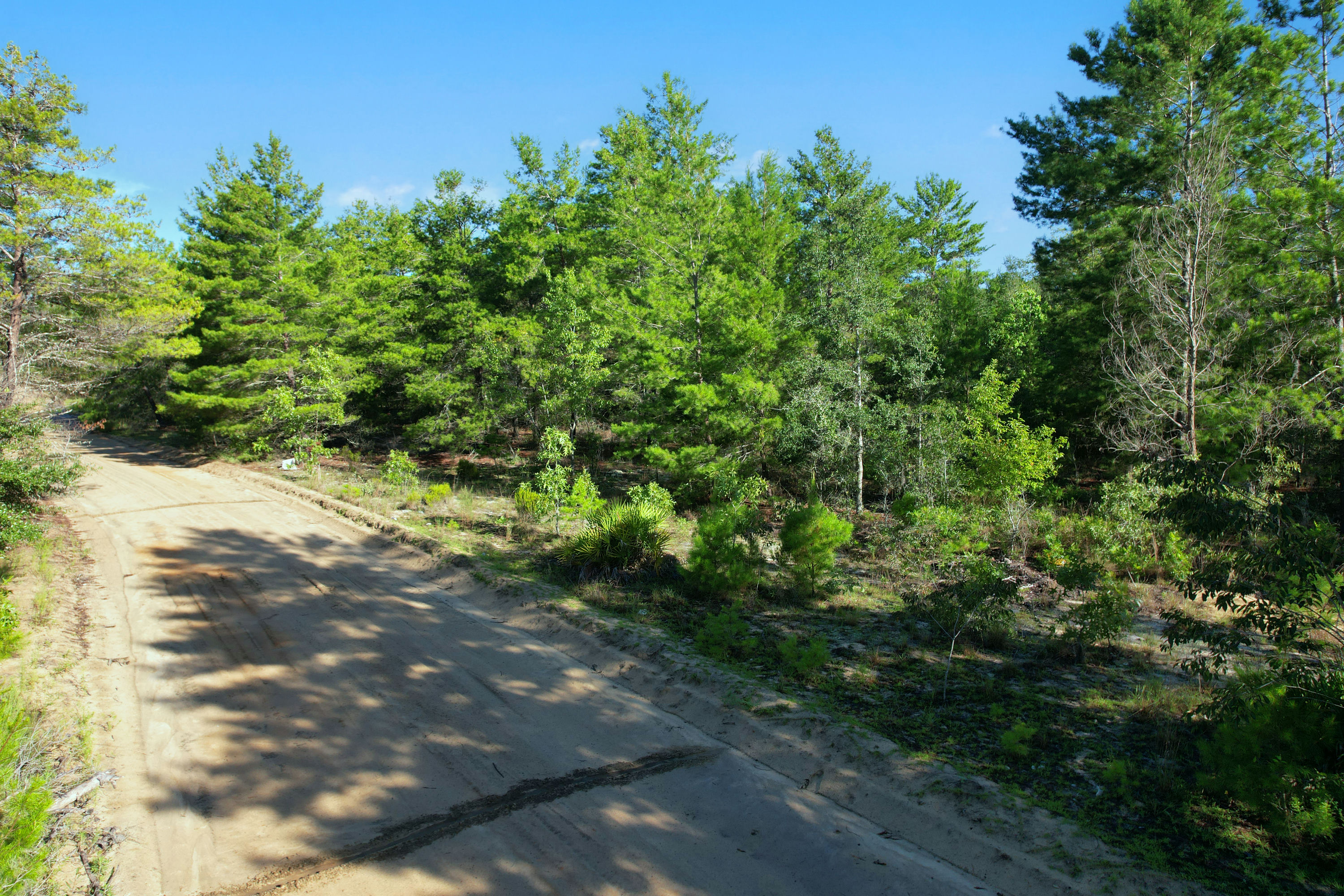 DJI_0357 (2).jpg