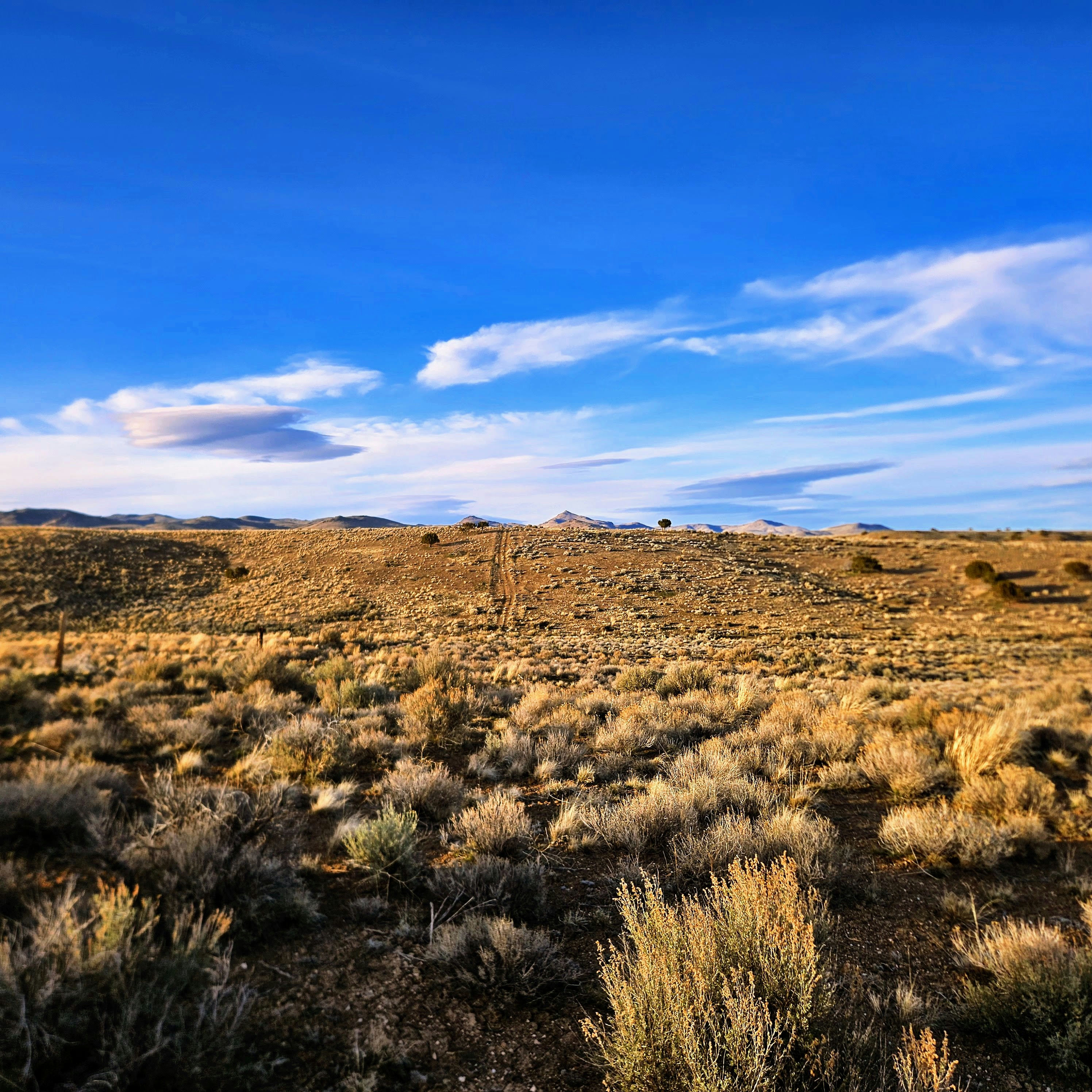 20260311_174150~3.jpg