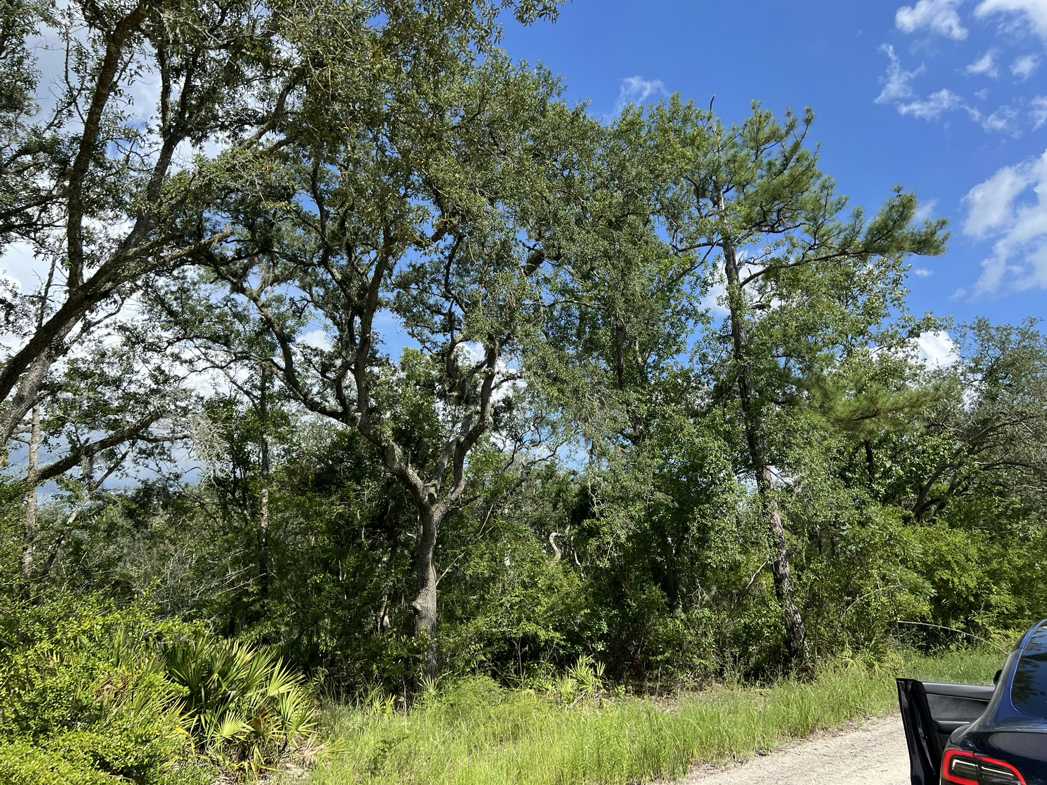 IMG_5819.JPEG