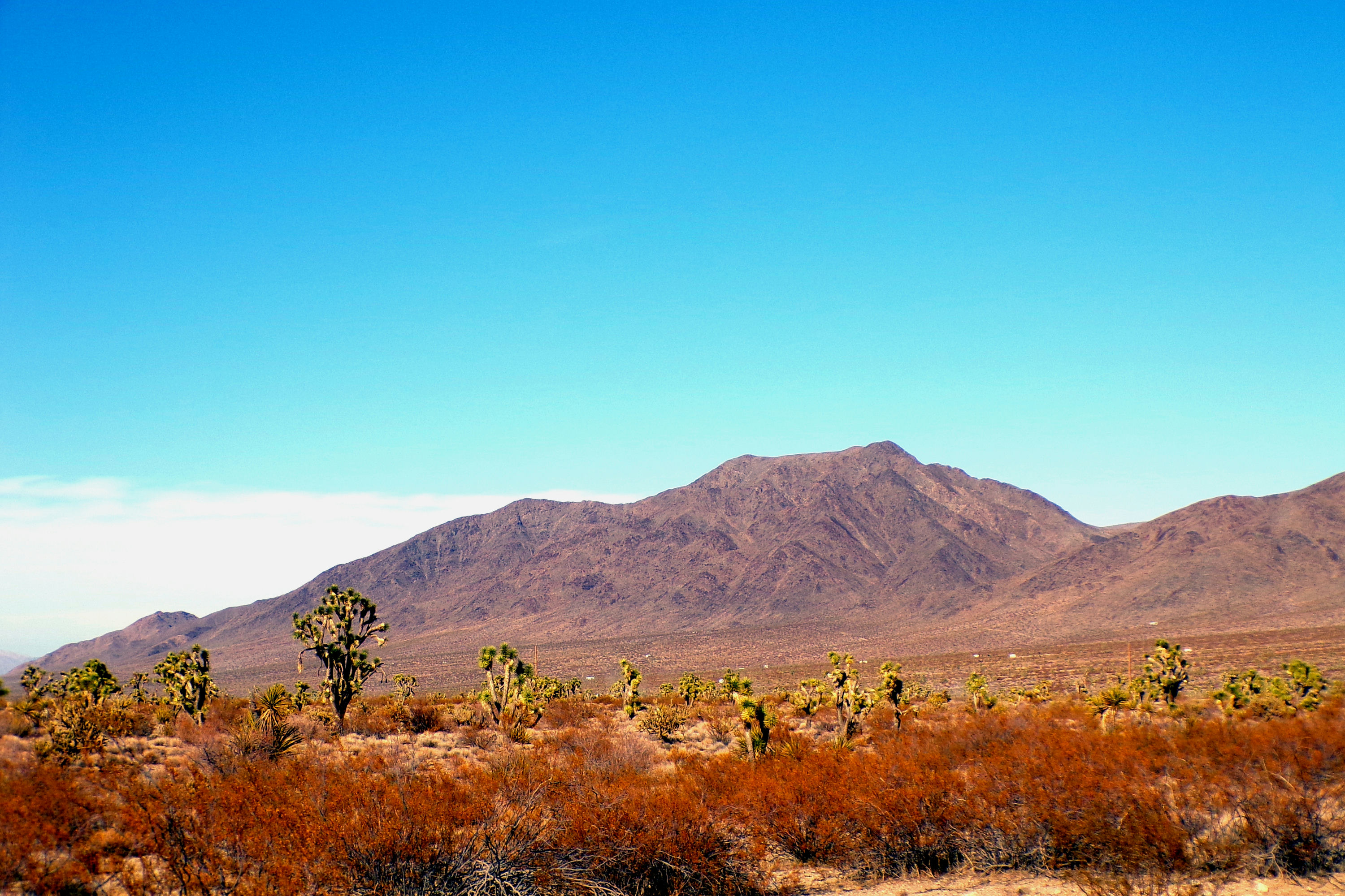 100_0868_DESERT.JPG