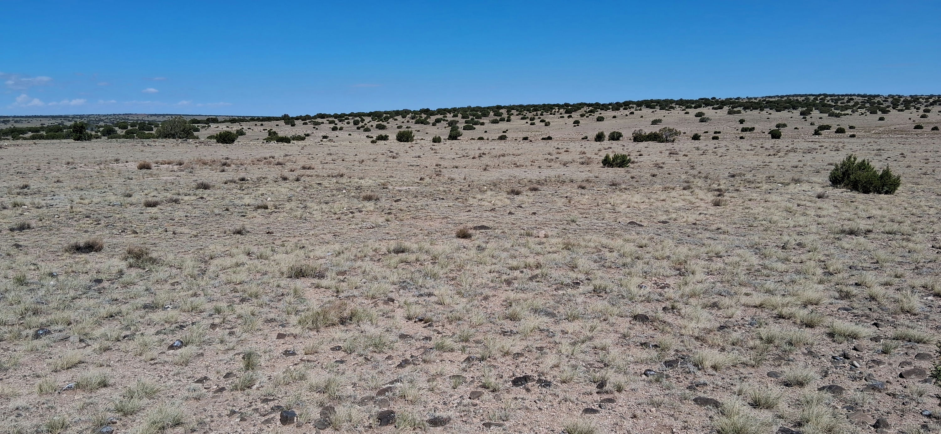 201-40-002B-C SE corner facing NW Corner.jpg