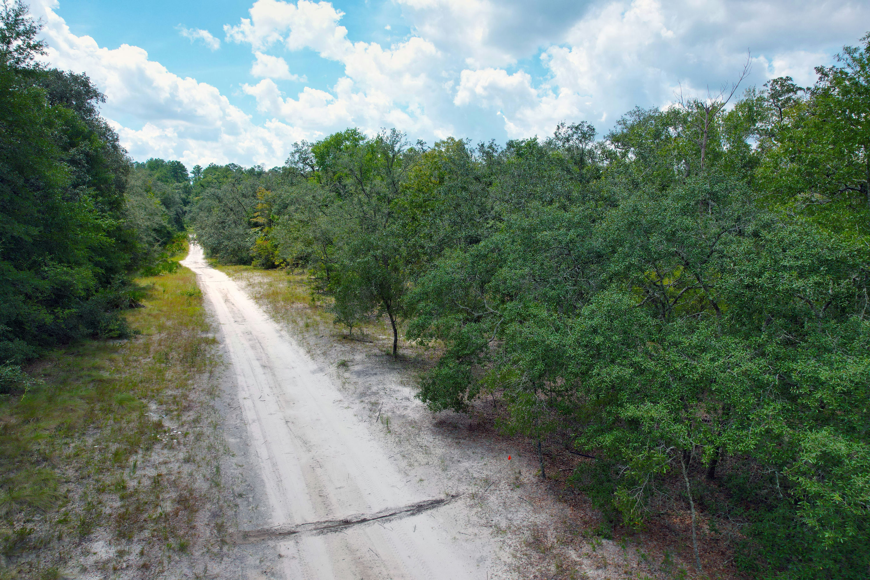 DJI_0542.jpg