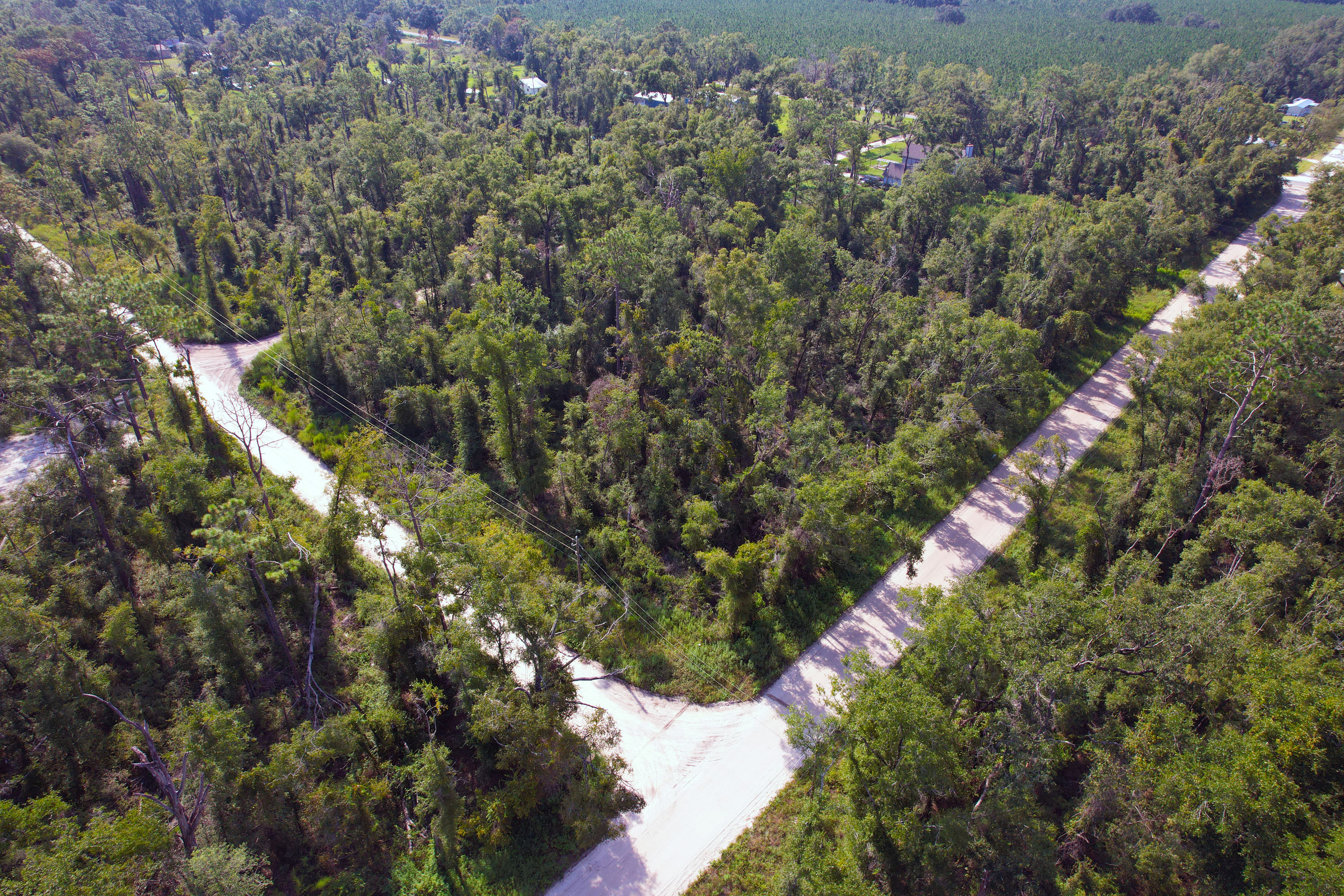 DJI_0287.jpg