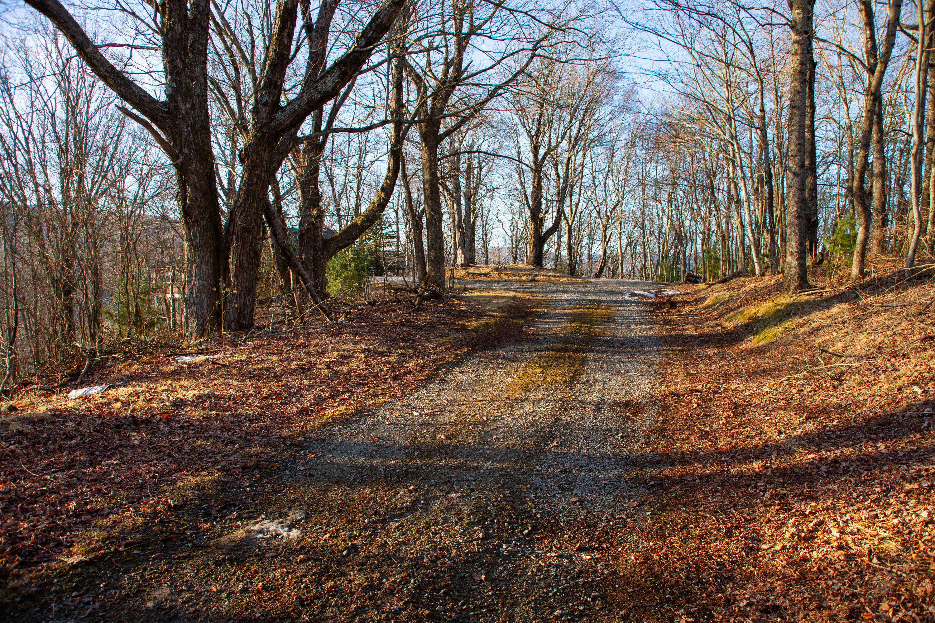 Copy of MountainSong-GroundPhotos-1.jpg