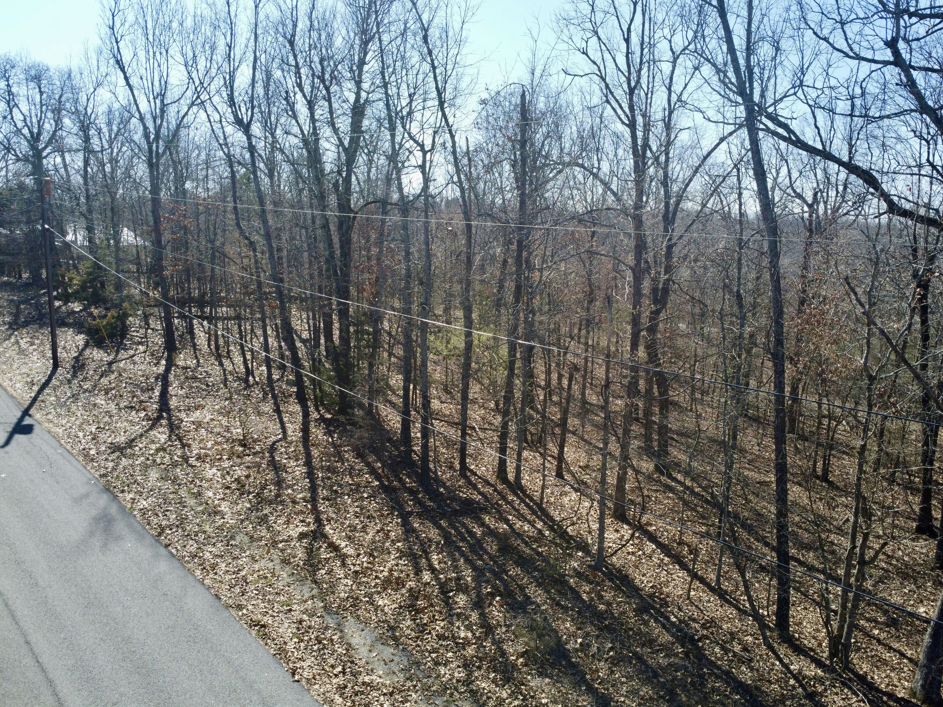 Copy of DJI_0208.JPG