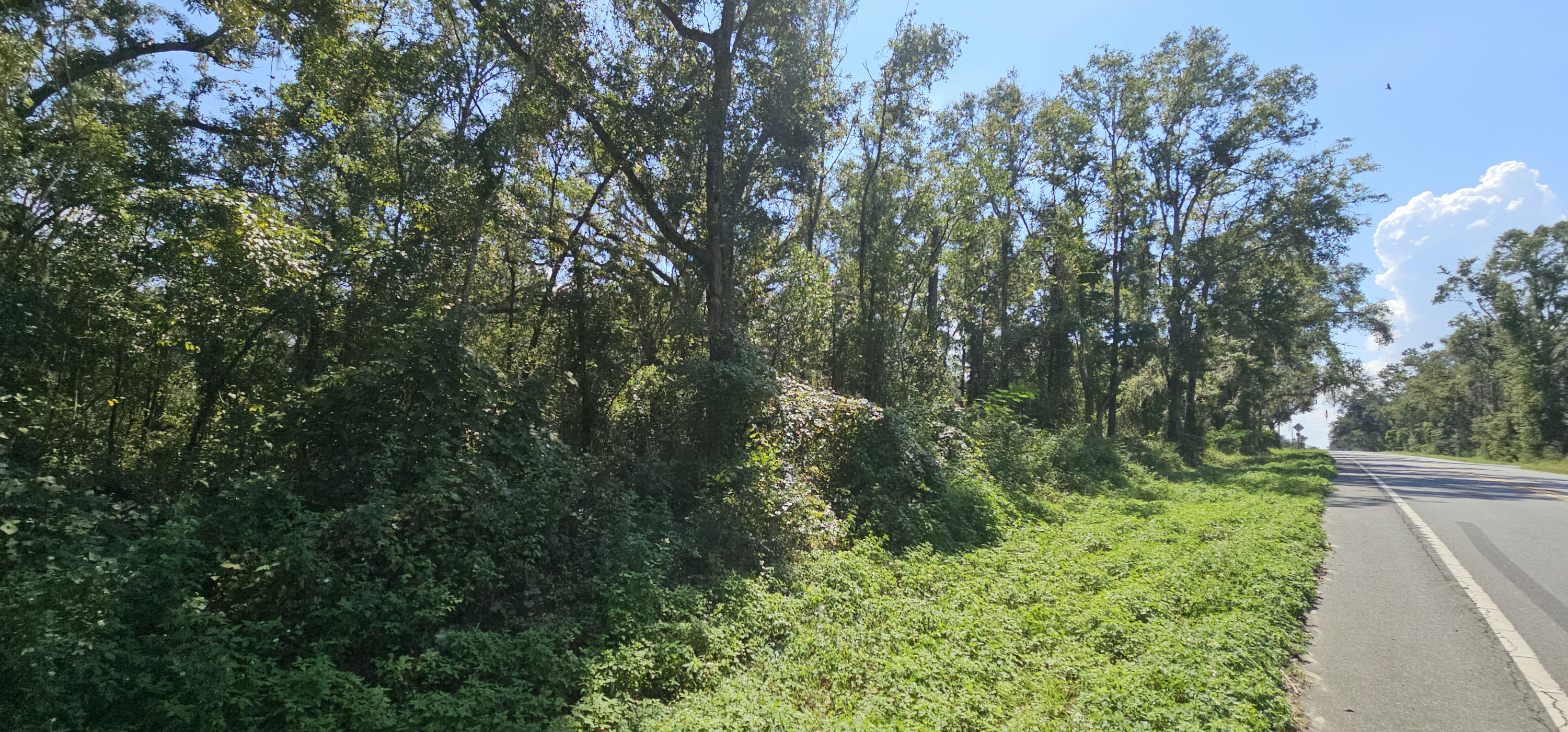 20250828_153631.jpg