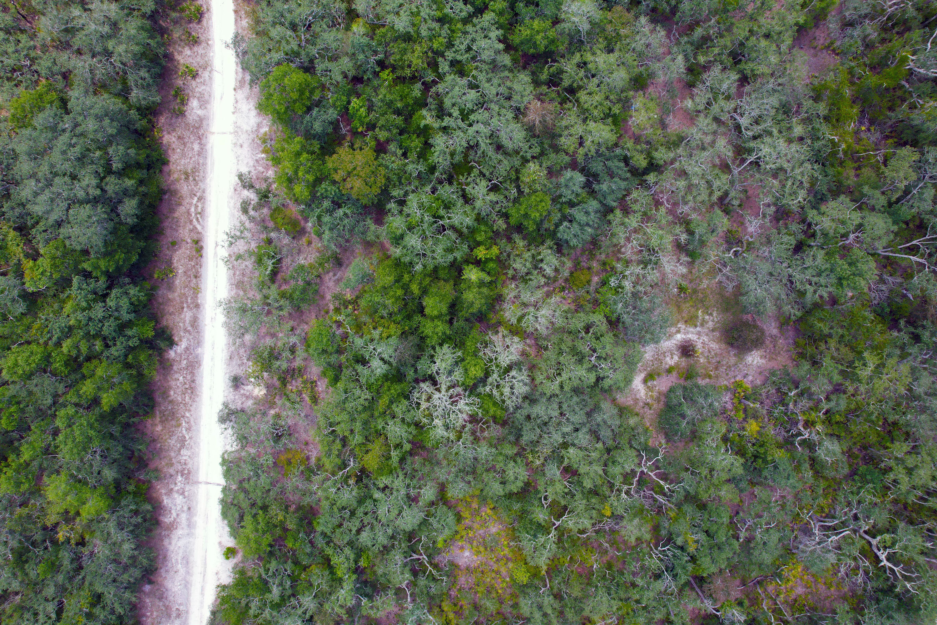 DJI_0575.jpg