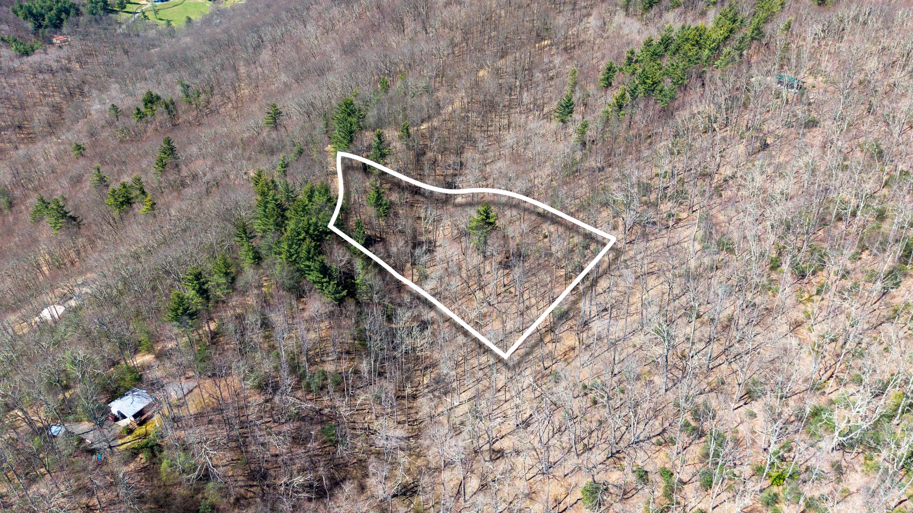Jones Ranch Rd 1.37 Overlay (1).png