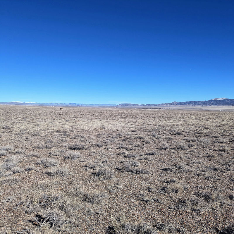 PXL_20250227_211639744.MP2_.jpg
