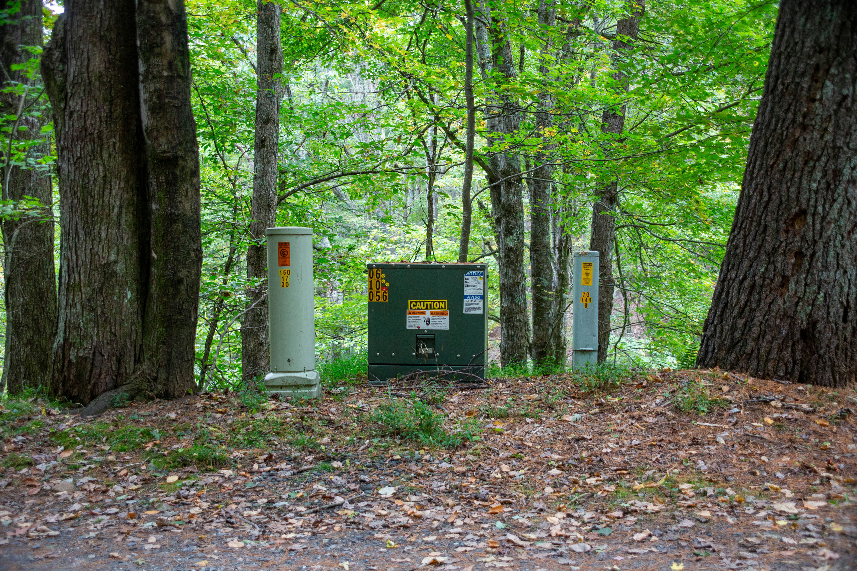 Copy of Pine-Knoll-Ground-15.jpg
