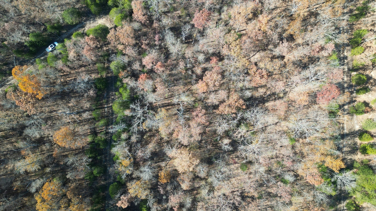 DJI_0905-1209x680.JPG